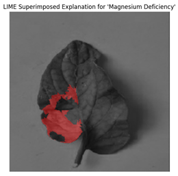 Electronics 14 04762 i012