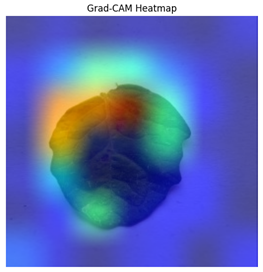 Electronics 14 04762 i014