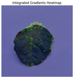 Electronics 14 04762 i015