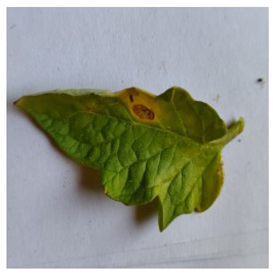 Electronics 14 04762 i017