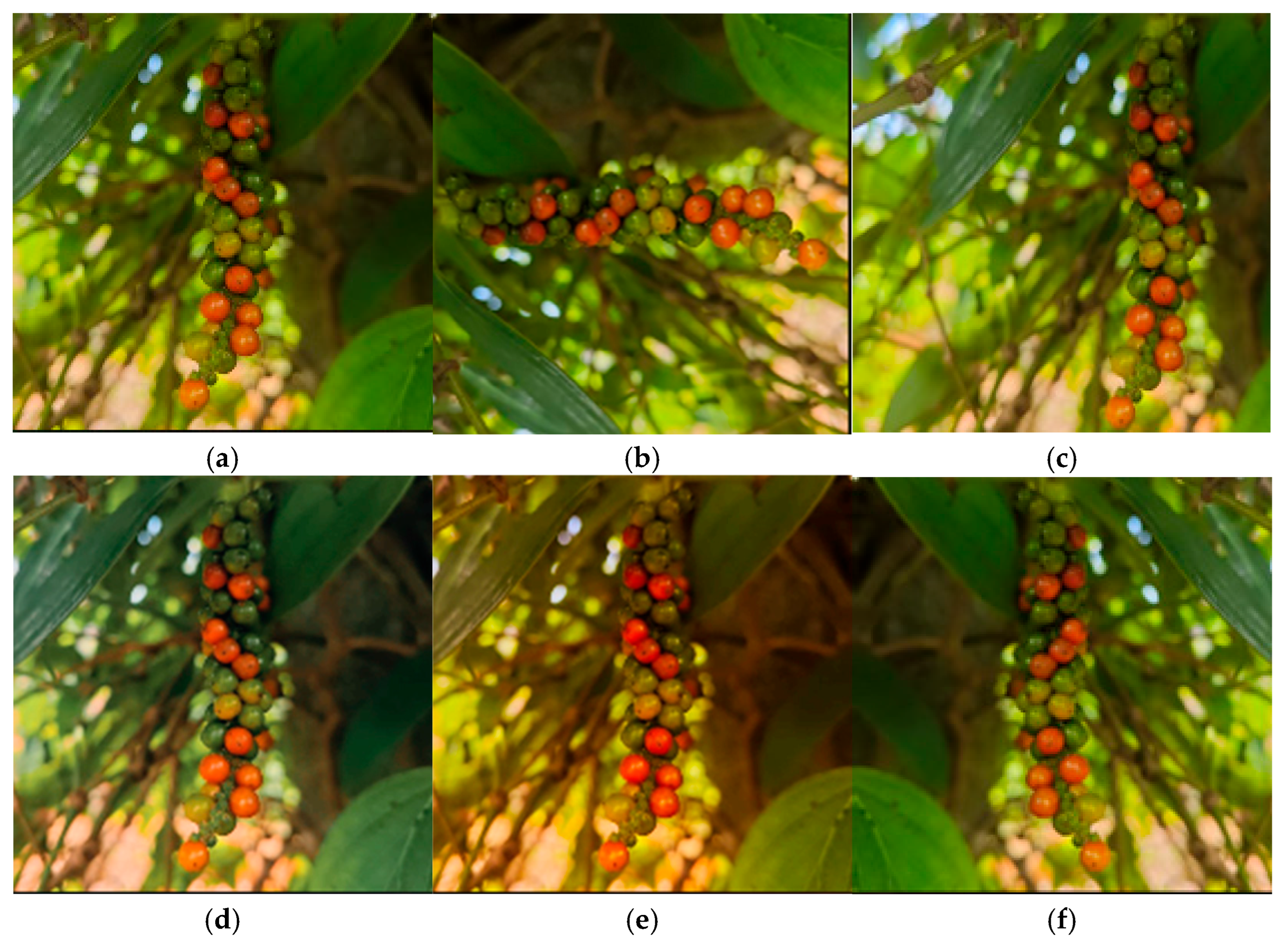 Electronics 14 04795 g002