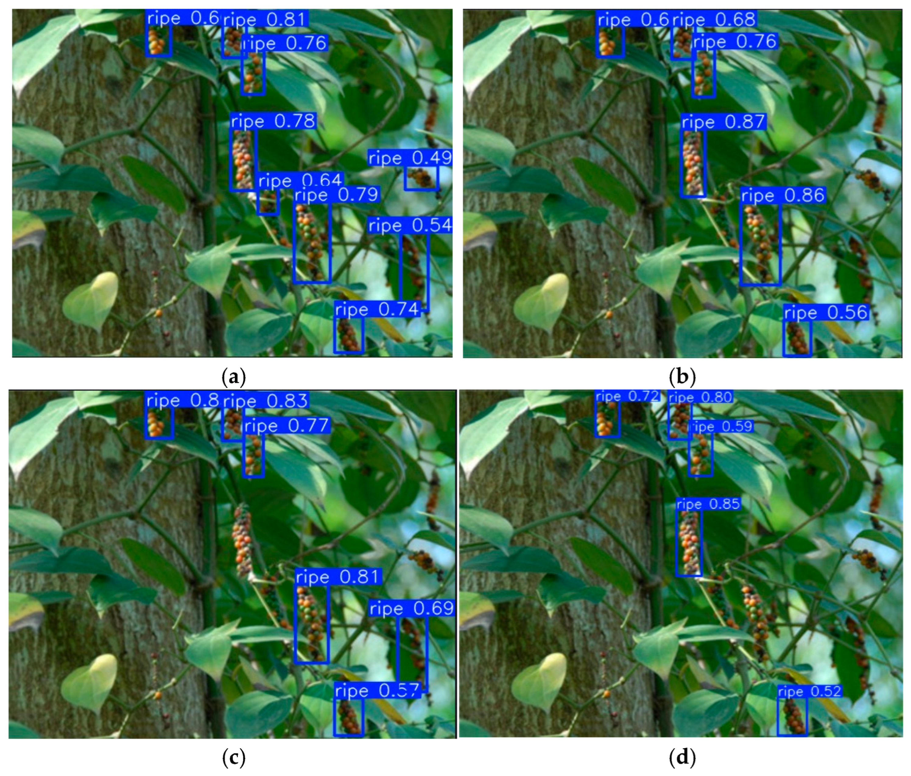 Electronics 14 04795 g010