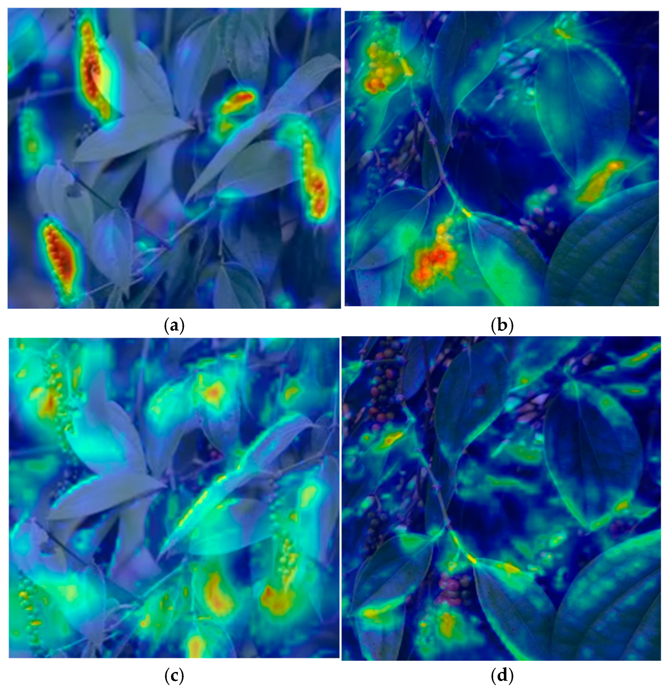 Electronics 14 04795 g013