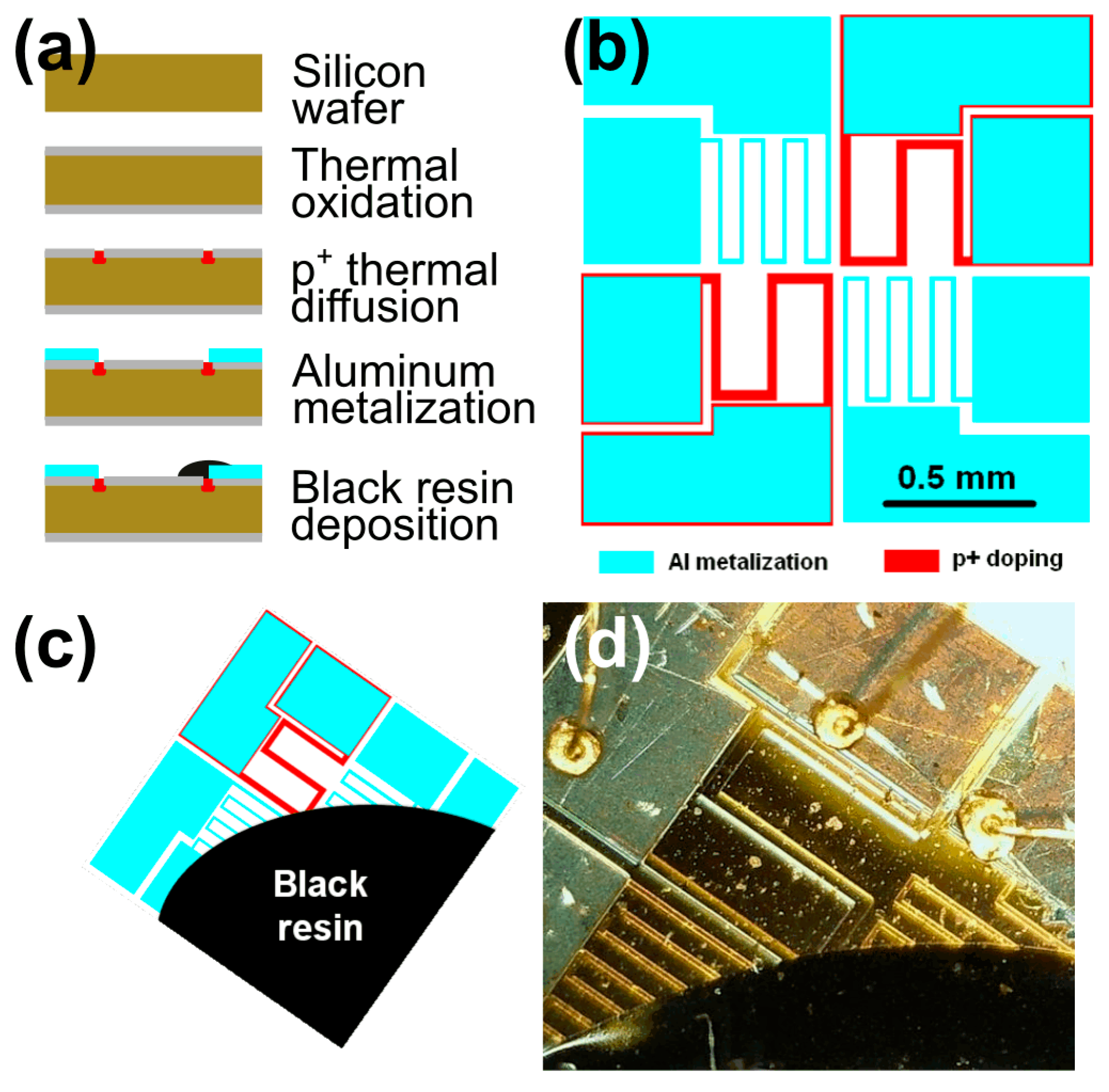 Electronics 14 04802 g001