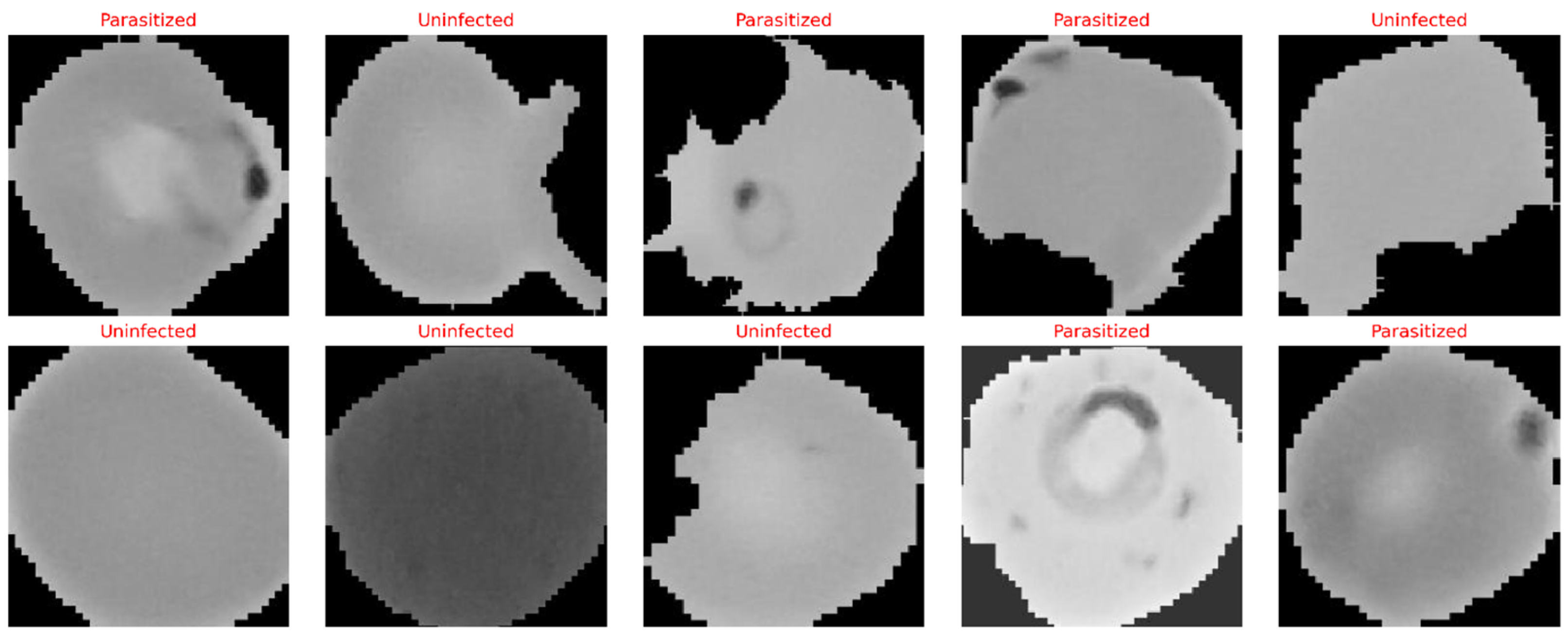 Electronics 14 04861 g002