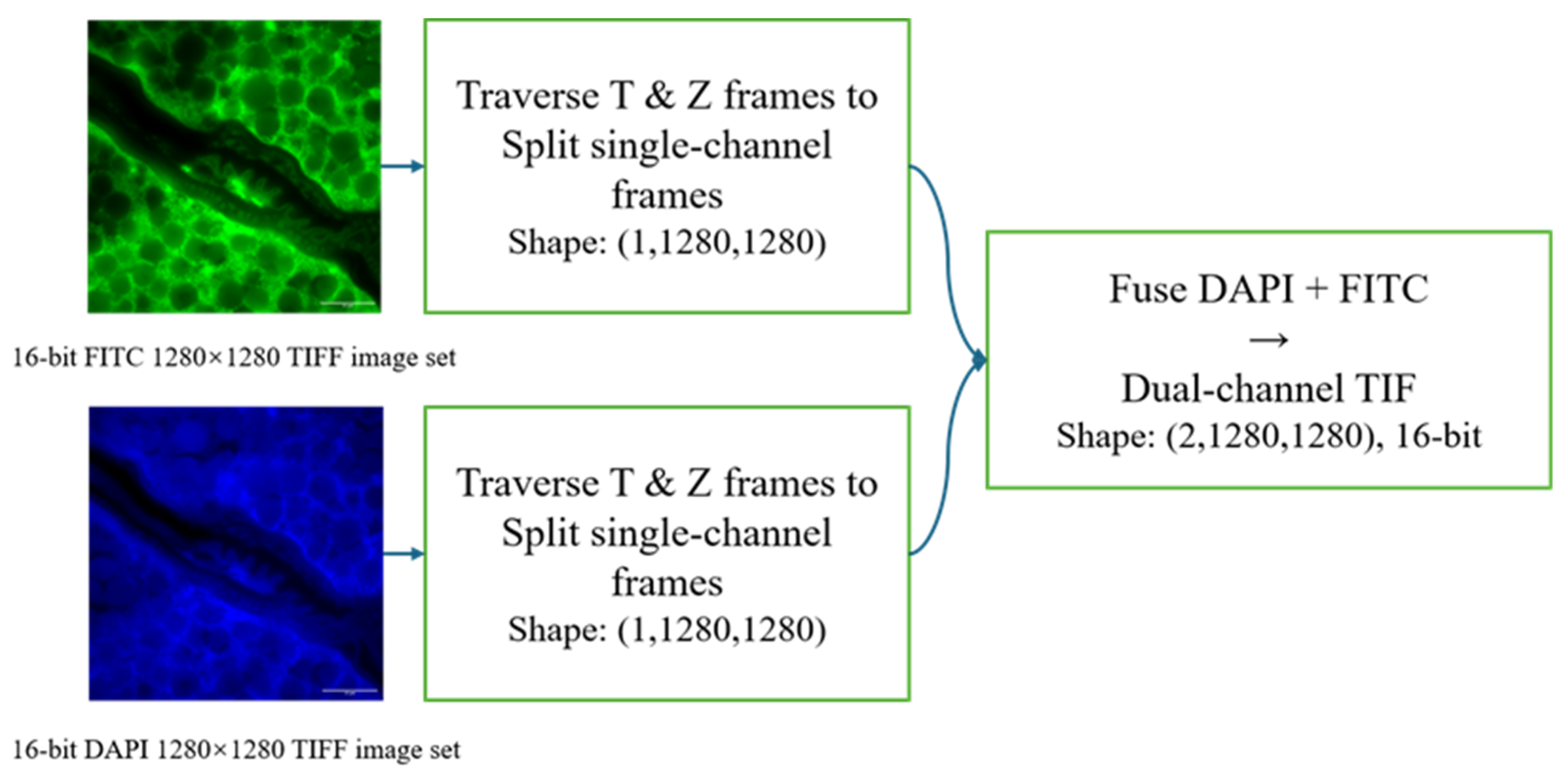 Electronics 15 00204 g001