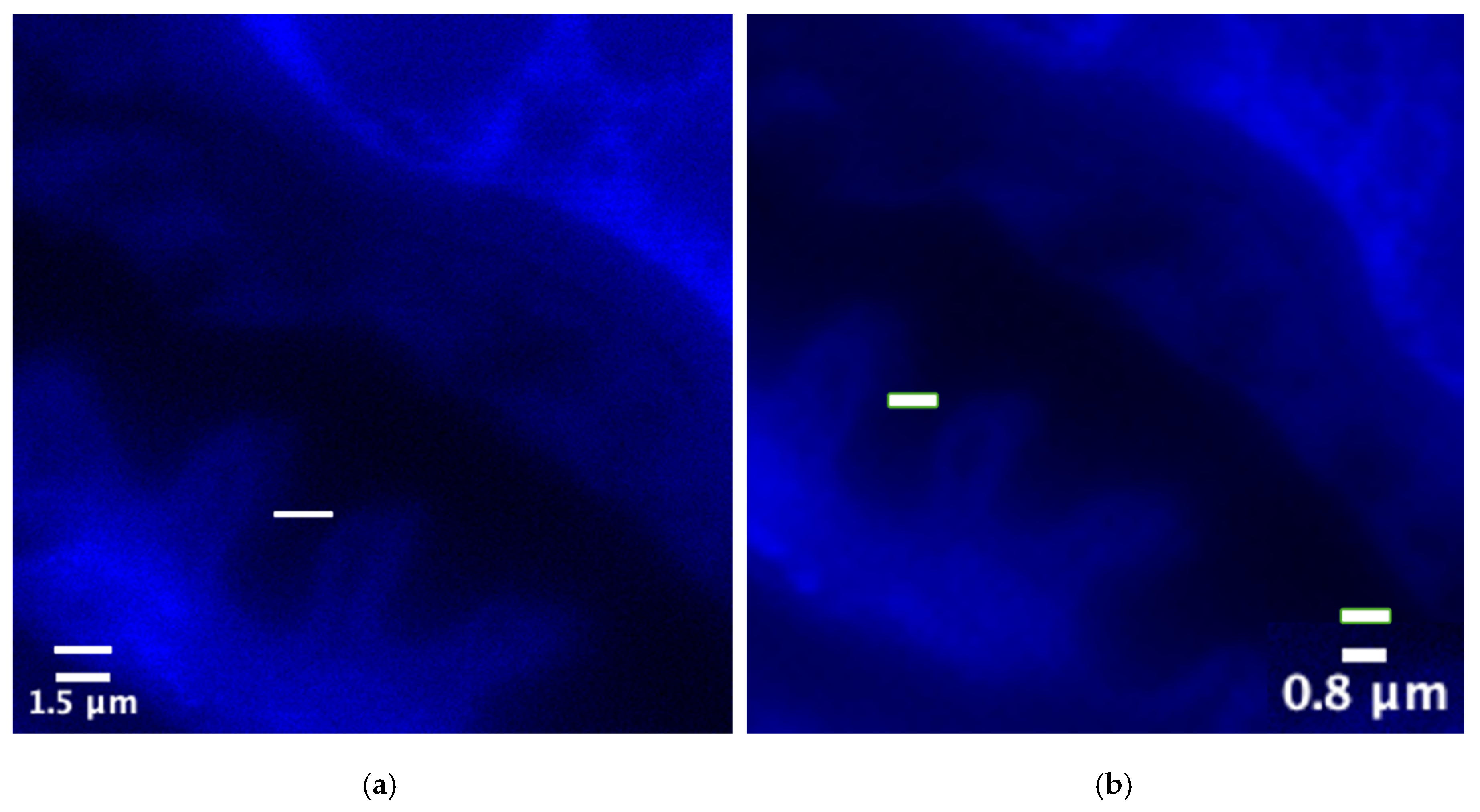 Electronics 15 00204 g011