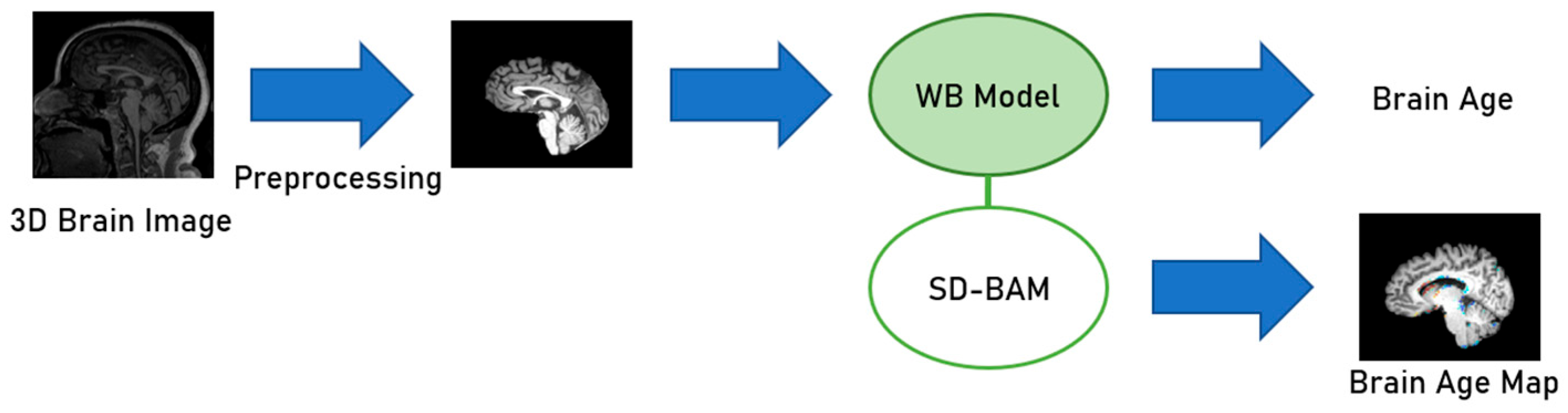 Electronics 15 00220 g001