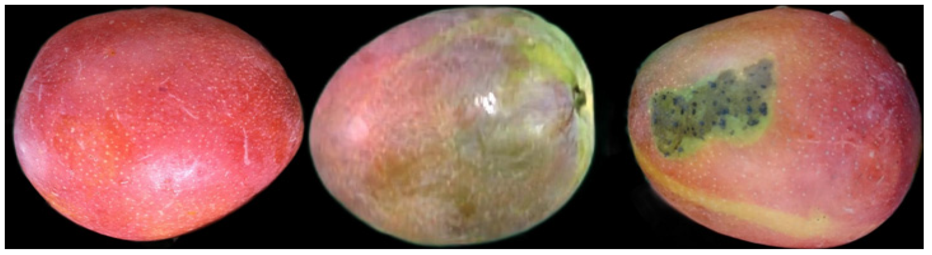 Electronics 15 00549 g002