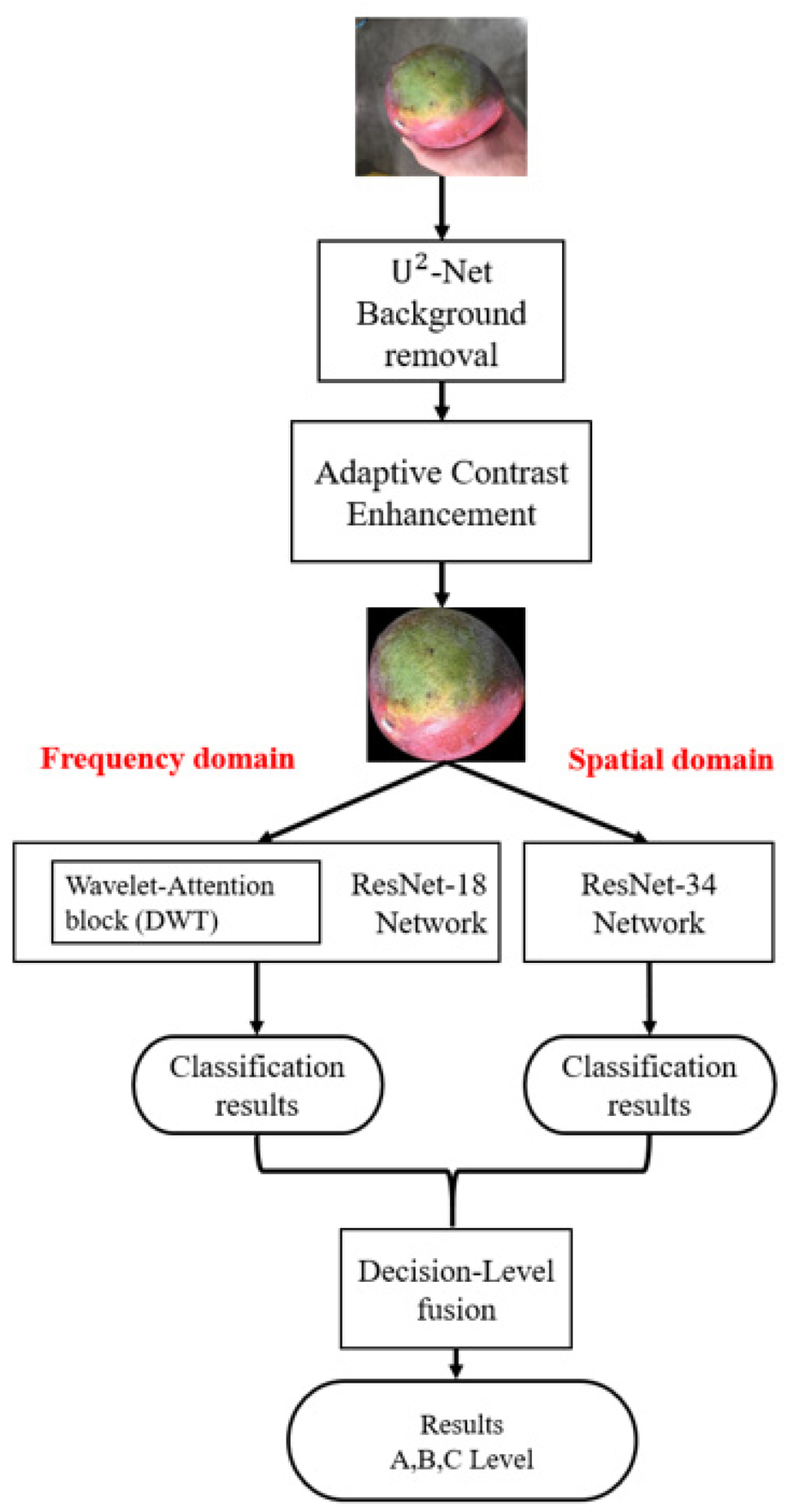Electronics 15 00549 g007
