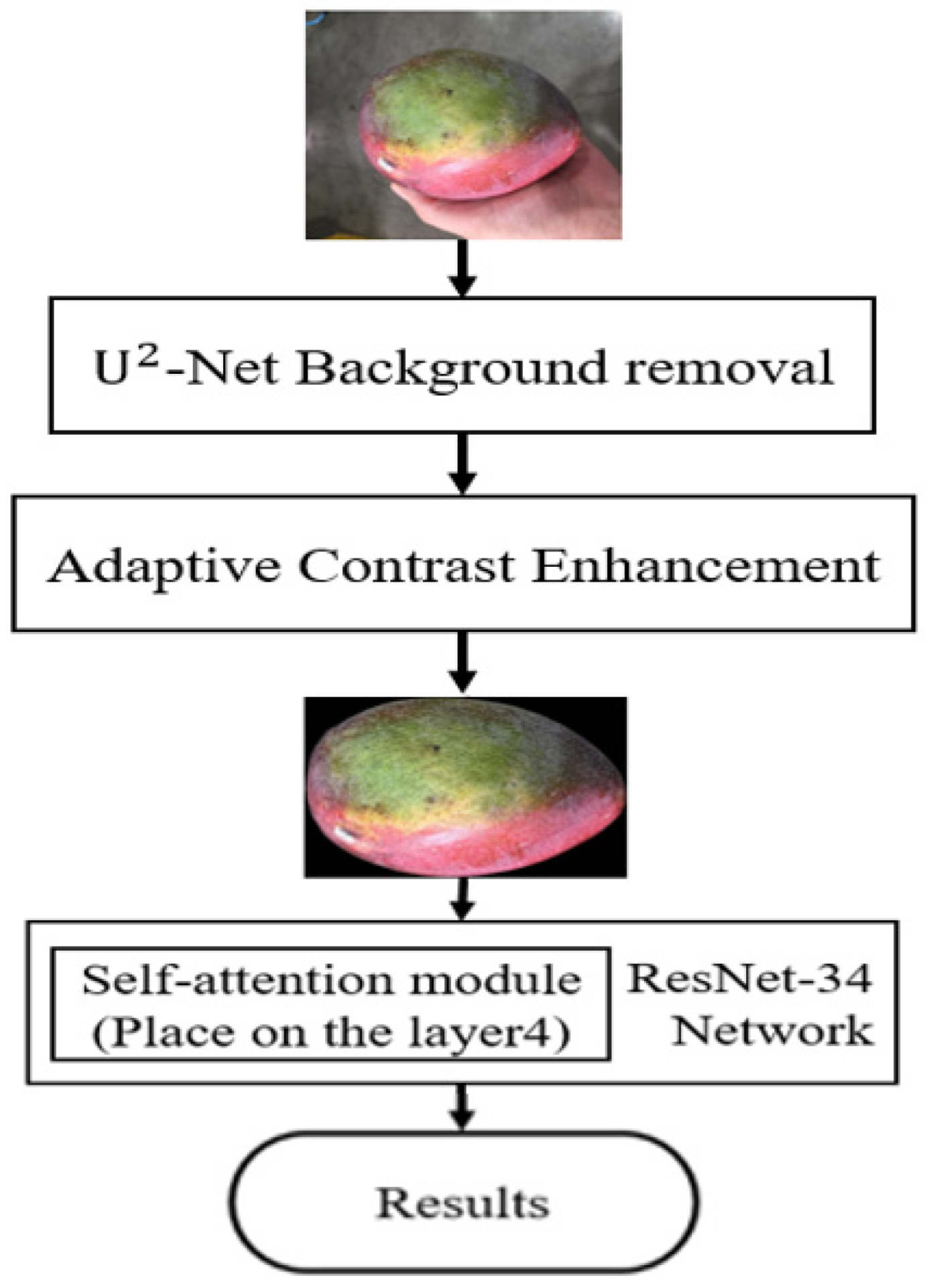 Electronics 15 00549 g009