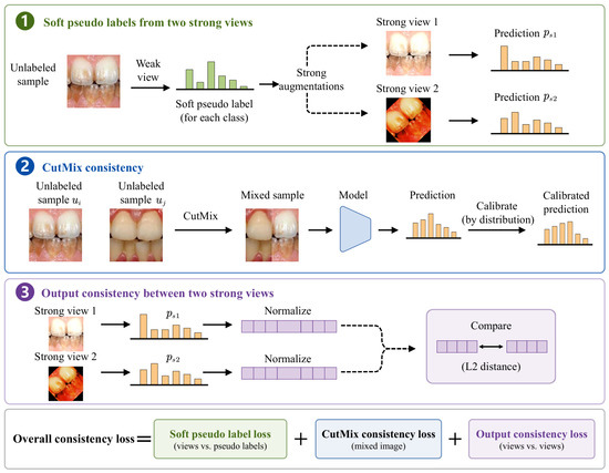 DAPR: Dynamic Distribution-Aware and Adaptive Pseudo-Label