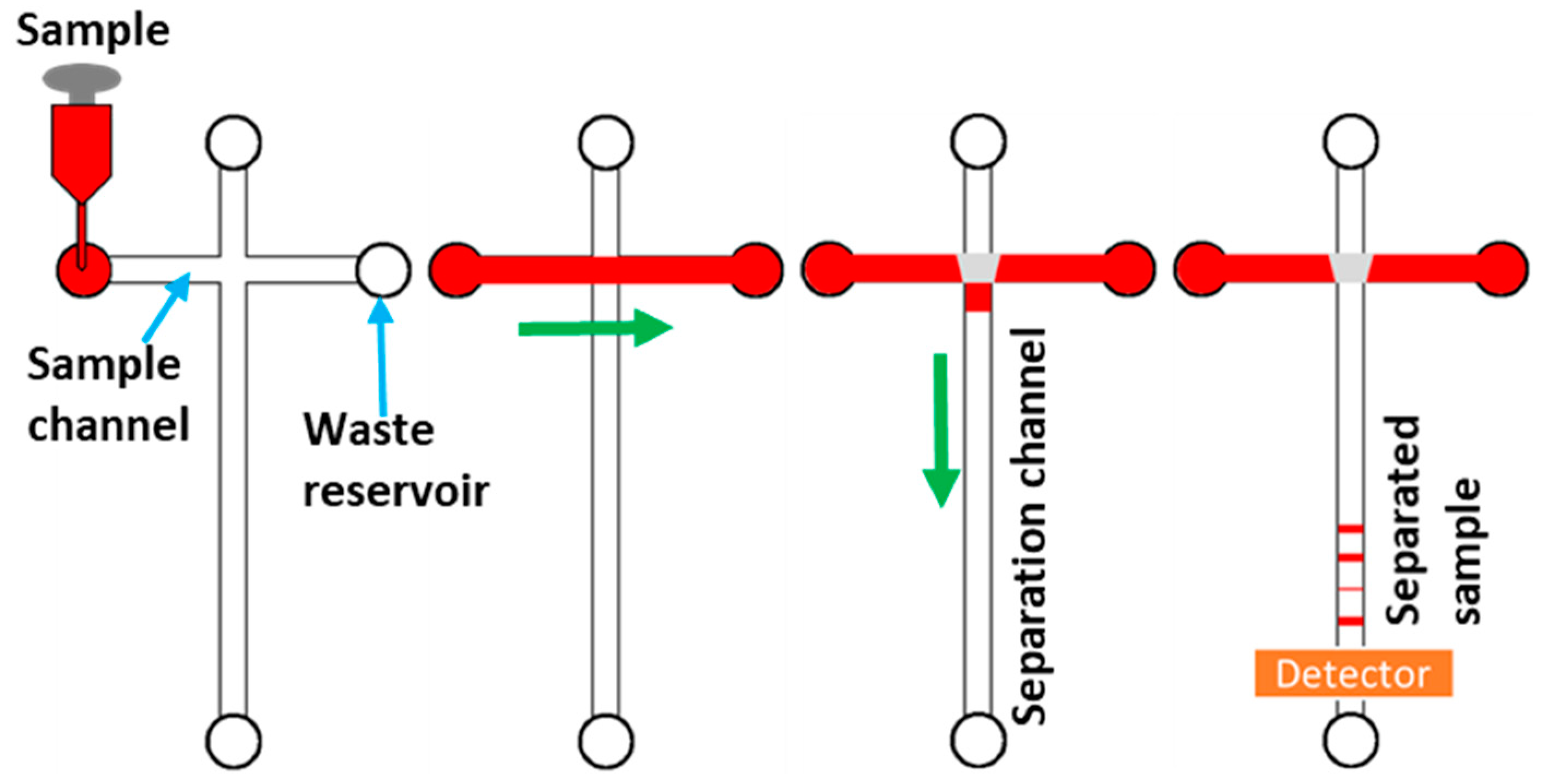 Encyclopedia 01 00006 g001 Encyclopedia 01 00006 g001