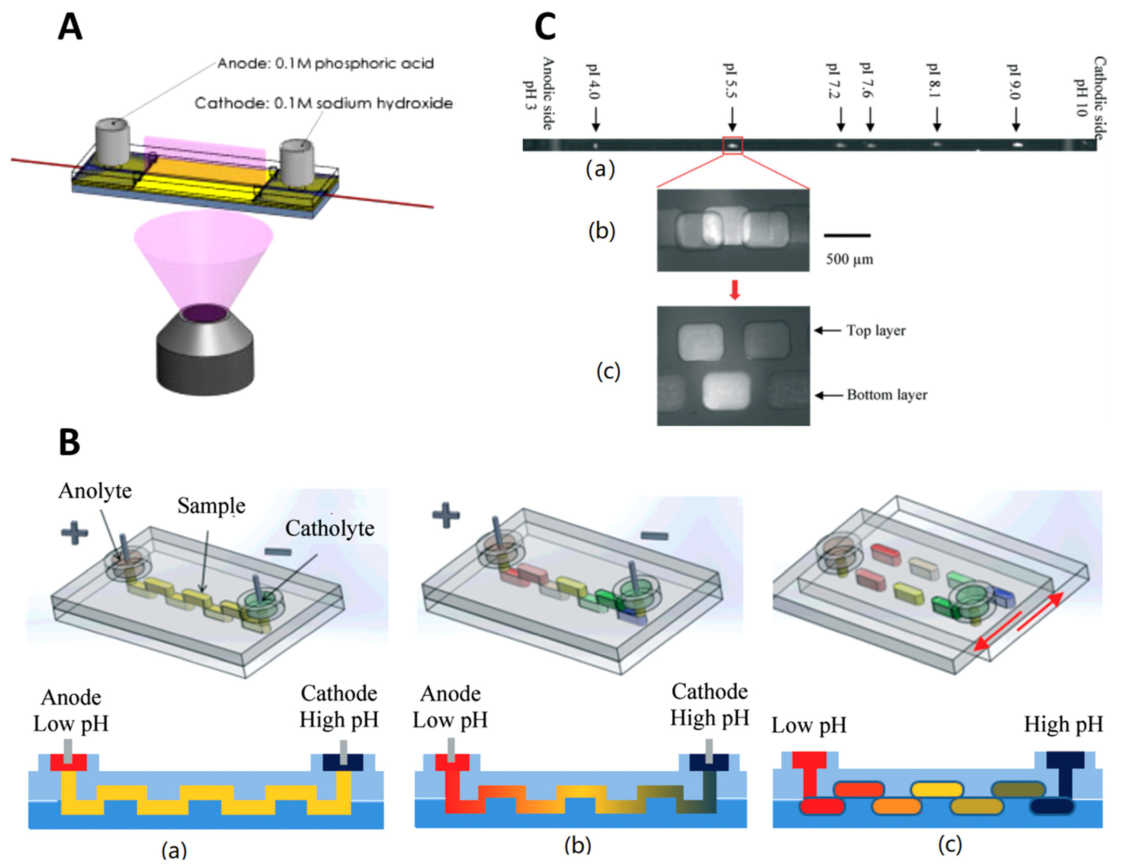 Encyclopedia 01 00006 g005 Encyclopedia 01 00006 g005