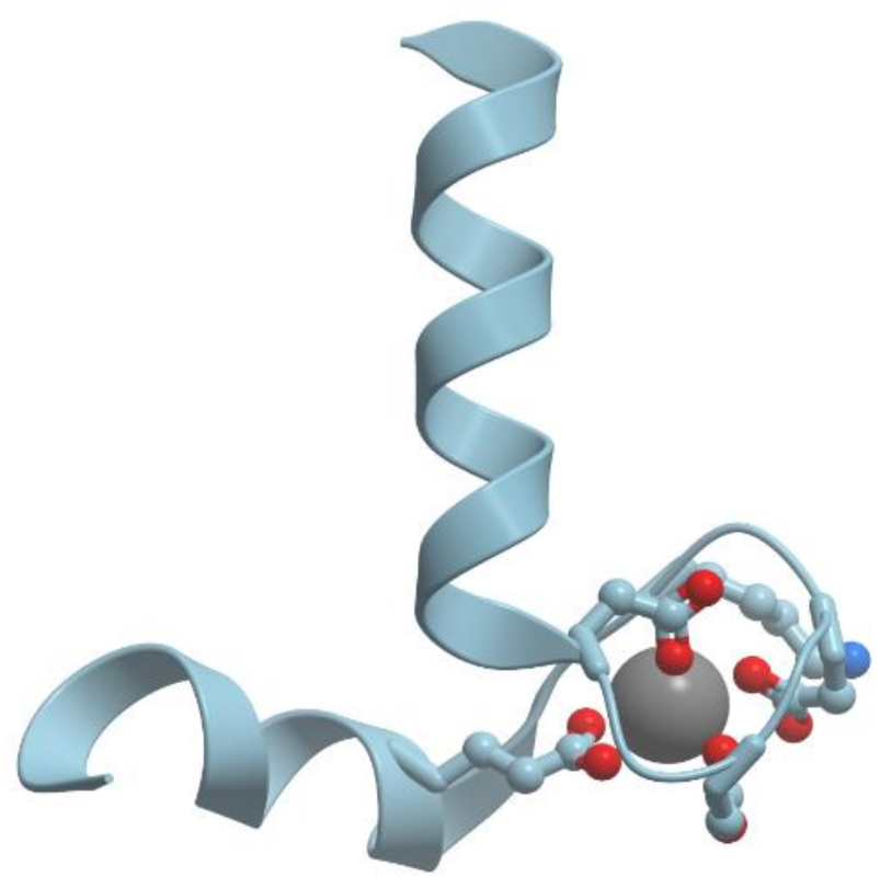 Encyclopedia 01 00024 g004