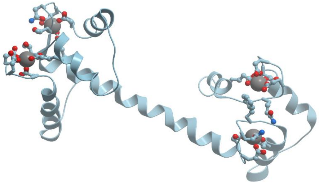 Encyclopedia 01 00024 g005