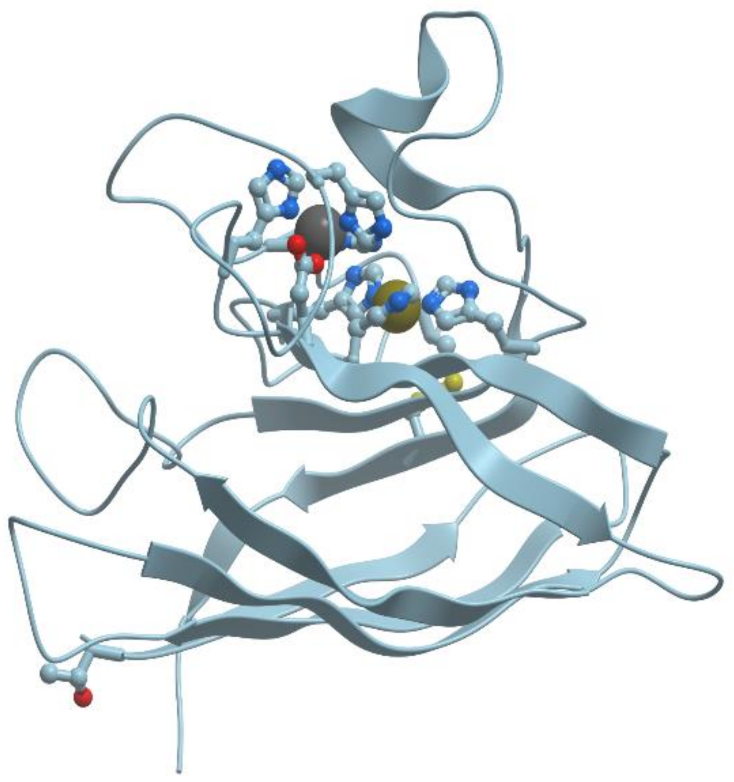 Encyclopedia 01 00024 g010