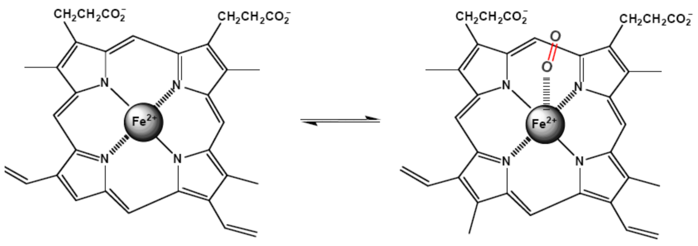 Encyclopedia 01 00024 g015