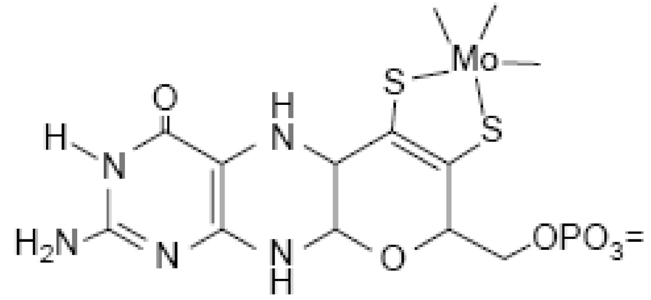 Encyclopedia 01 00024 g021