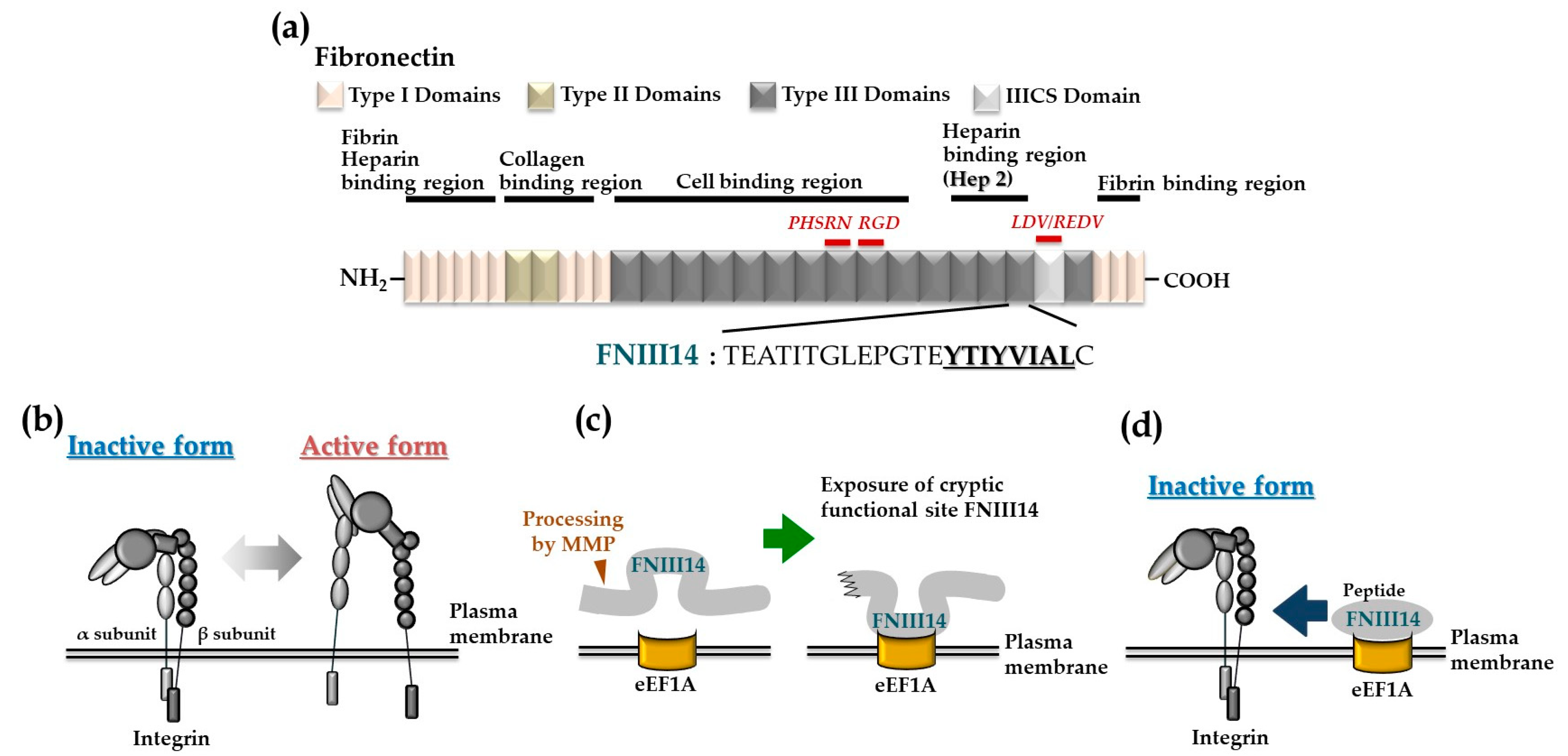 Encyclopedia 01 00029 g001 Encyclopedia 01 00029 g001