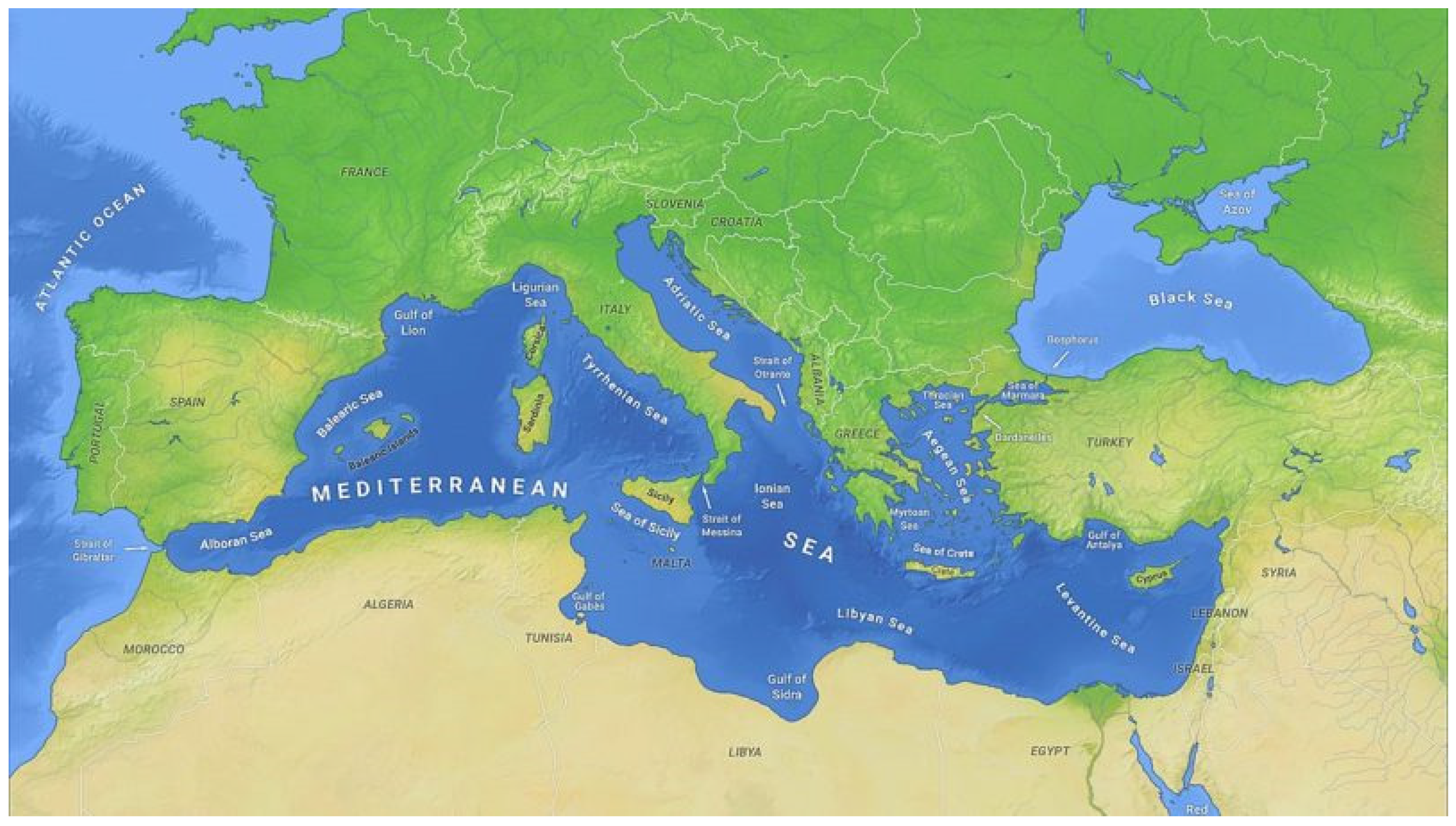 French Defense (Mediterranean Variation) 