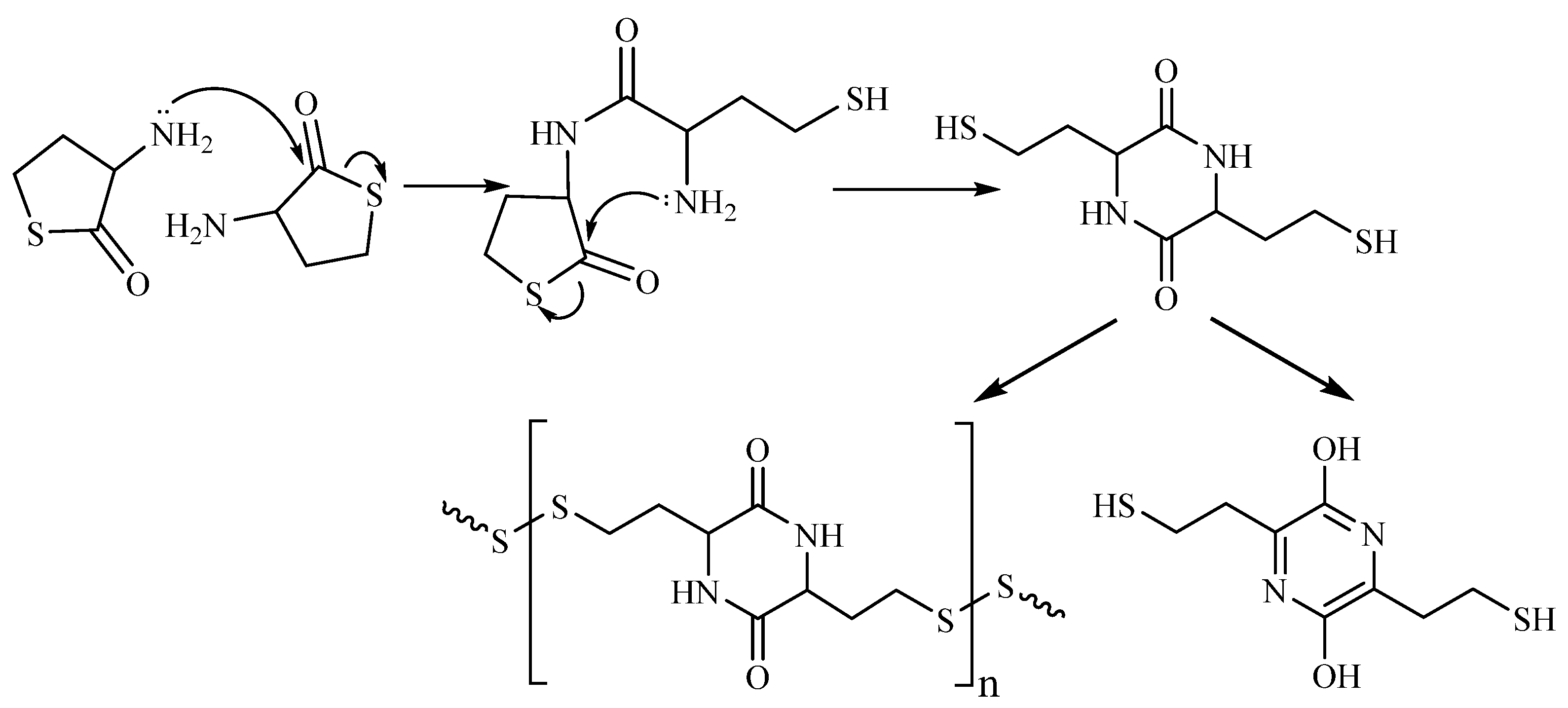 Encyclopedia 01 00037 g005