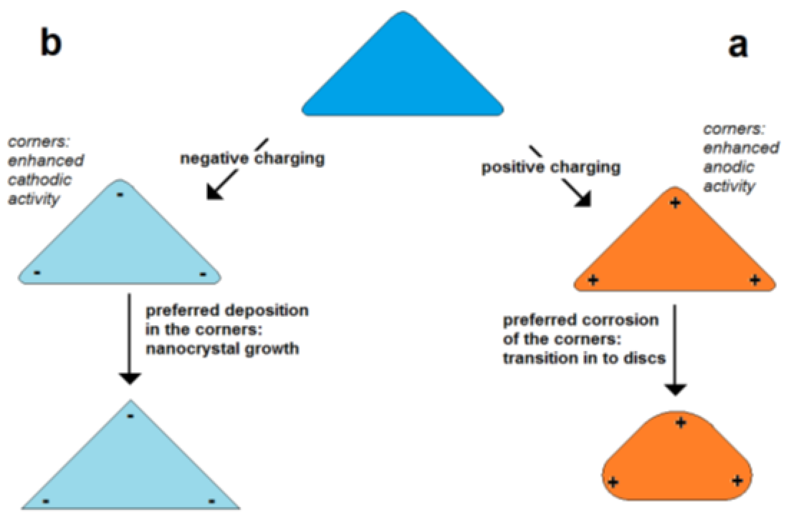 Encyclopedia 01 00046 g005 550