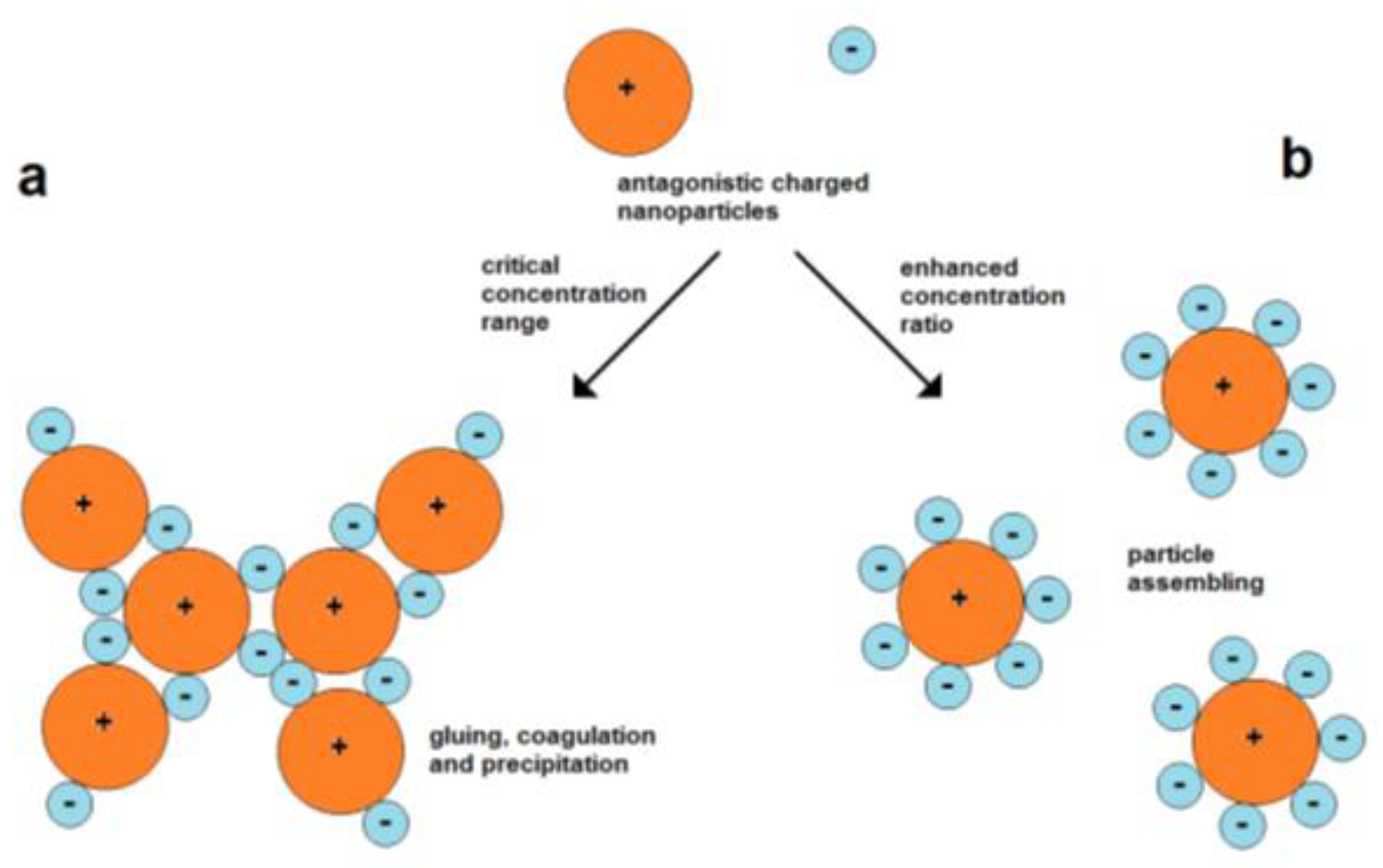 Encyclopedia 01 00046 g006 550