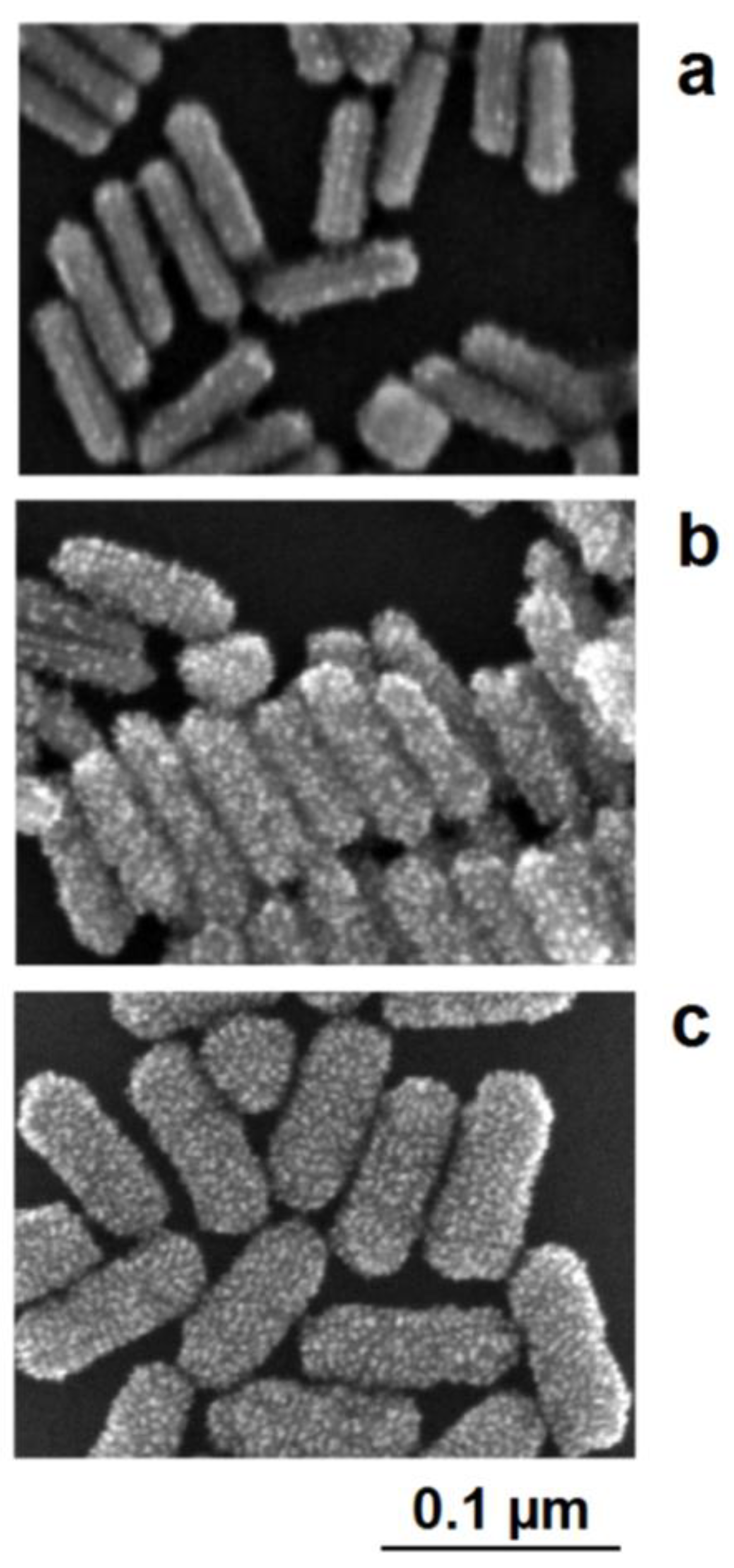Encyclopedia 01 00046 g010 550