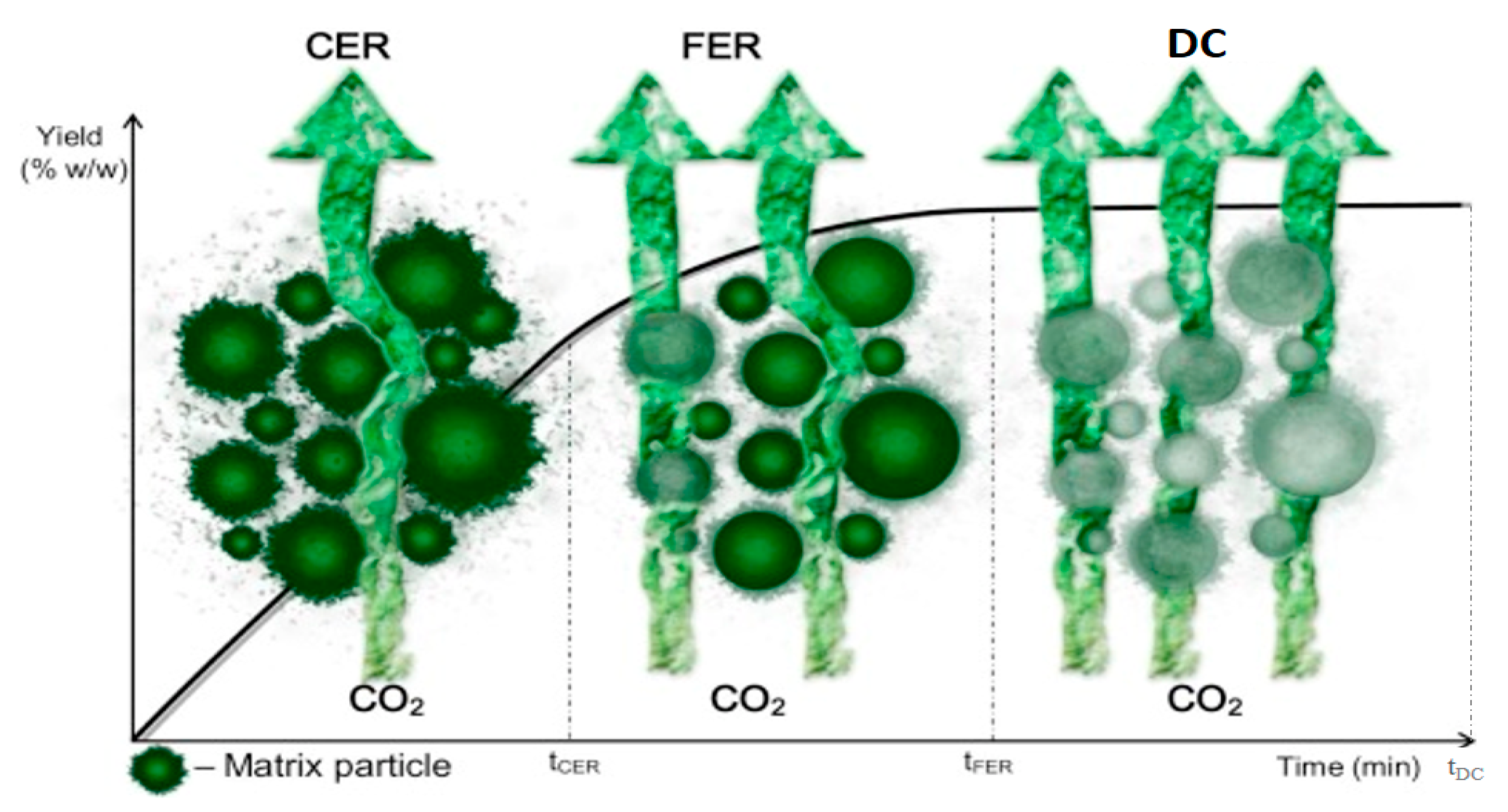 Encyclopedia 01 00052 g005 Encyclopedia 01 00052 g005