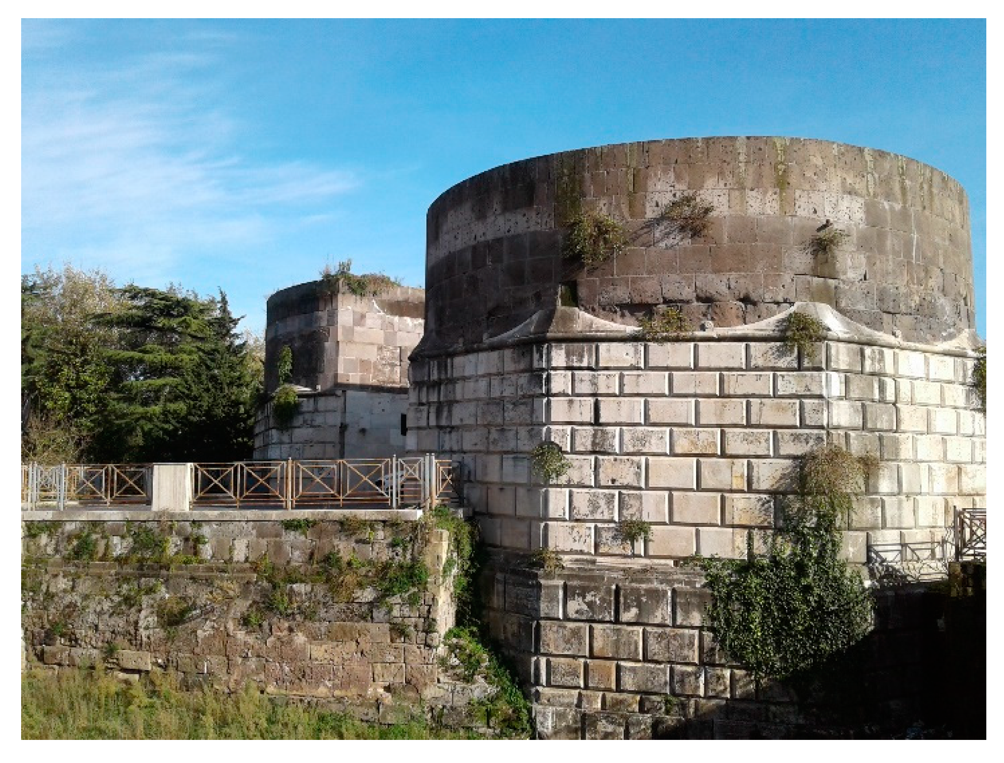 Encyclopedia 01 00055 g004