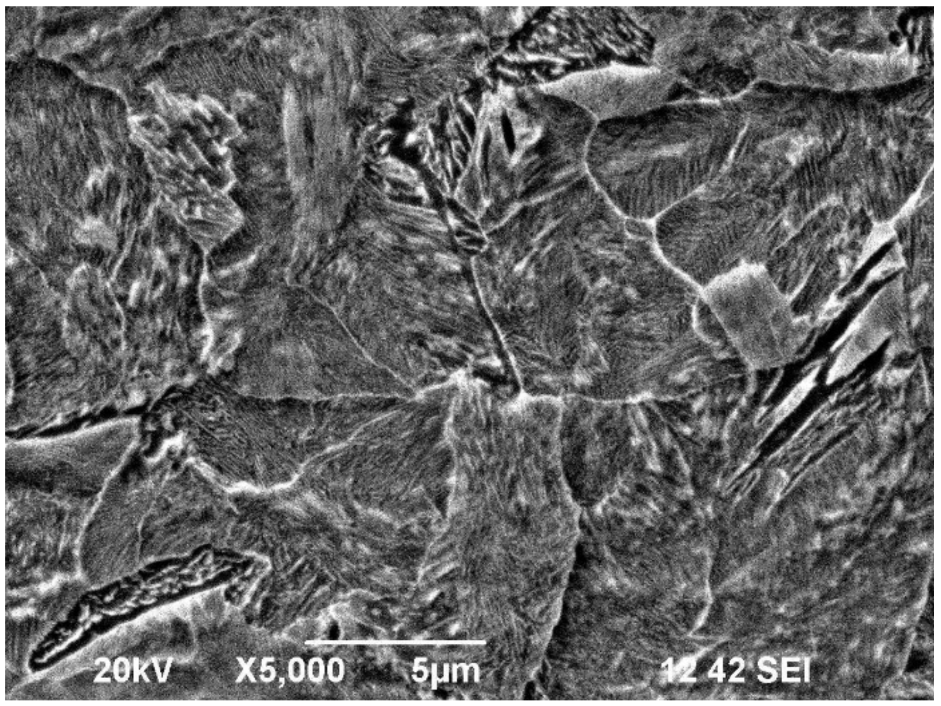 Encyclopedia 01 00066 g007 Encyclopedia 01 00066 g007