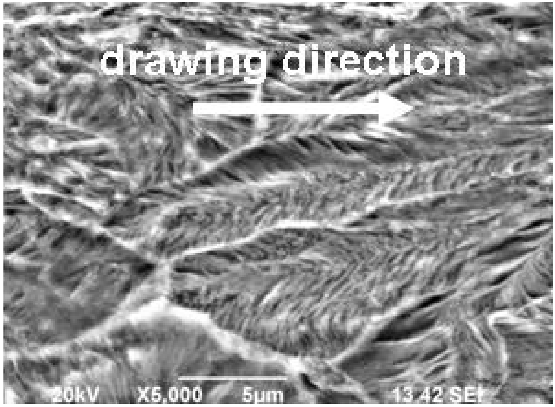 Encyclopedia 01 00066 g008 Encyclopedia 01 00066 g008