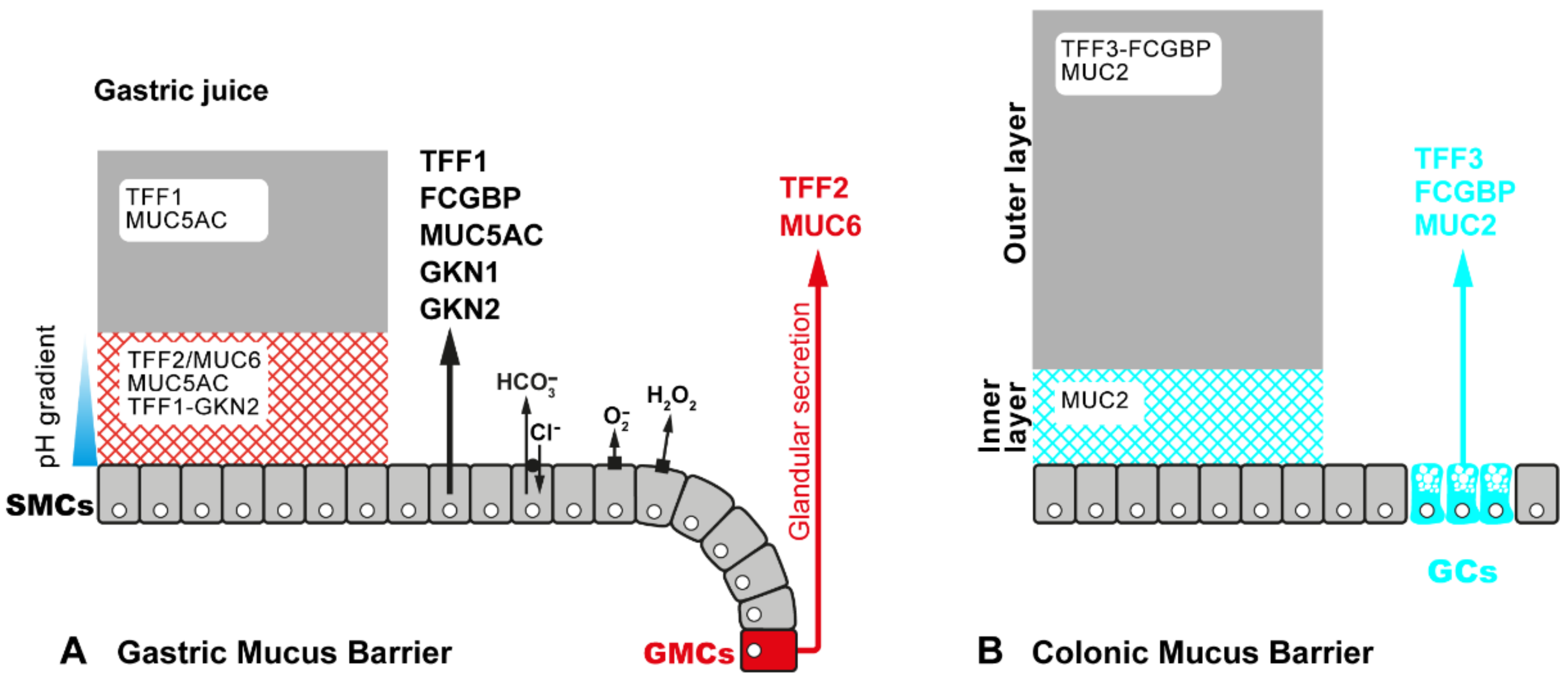 Encyclopedia 01 00074 g002 Encyclopedia 01 00074 g002