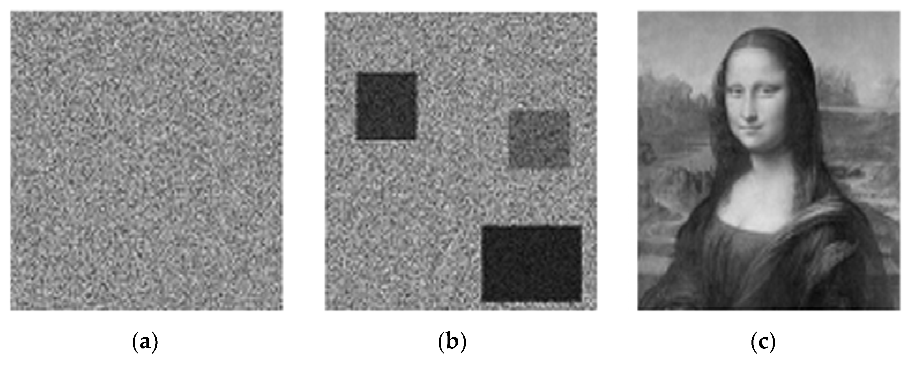 Encyclopedia 01 00077 g005