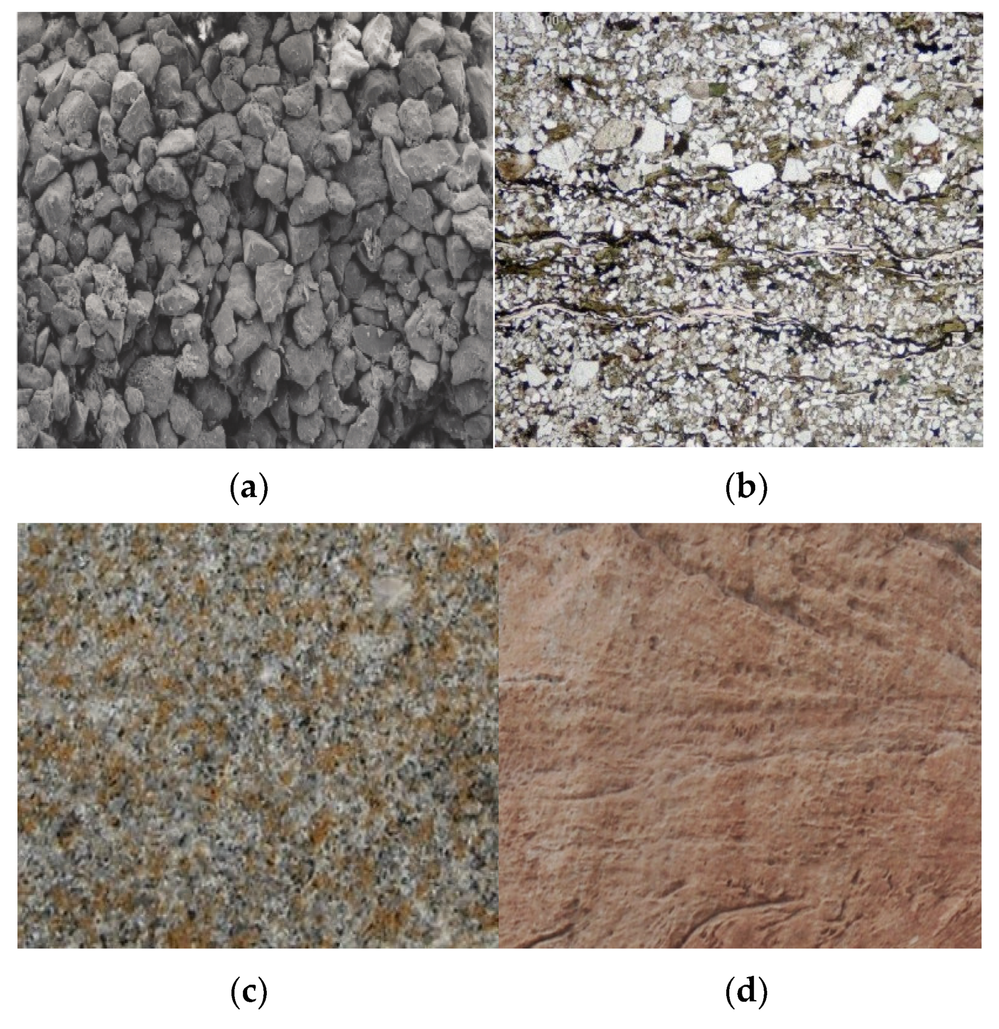 Encyclopedia 01 00077 g007