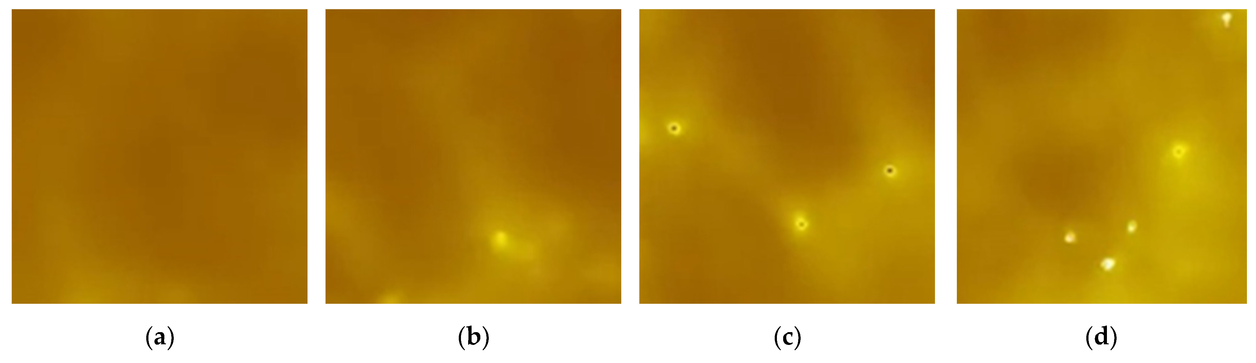 Encyclopedia 01 00077 g015