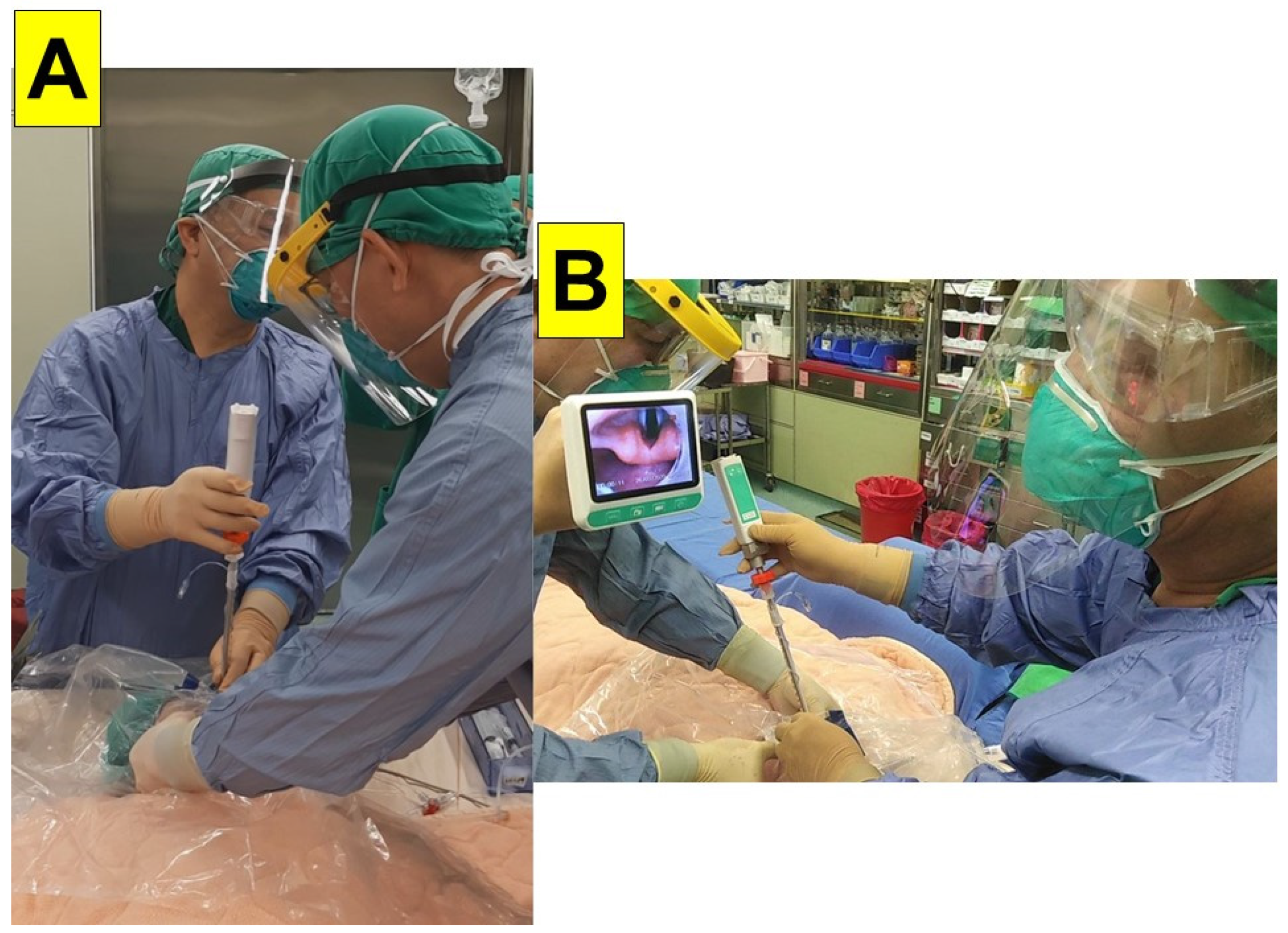 Encyclopedia 01 00081 g006