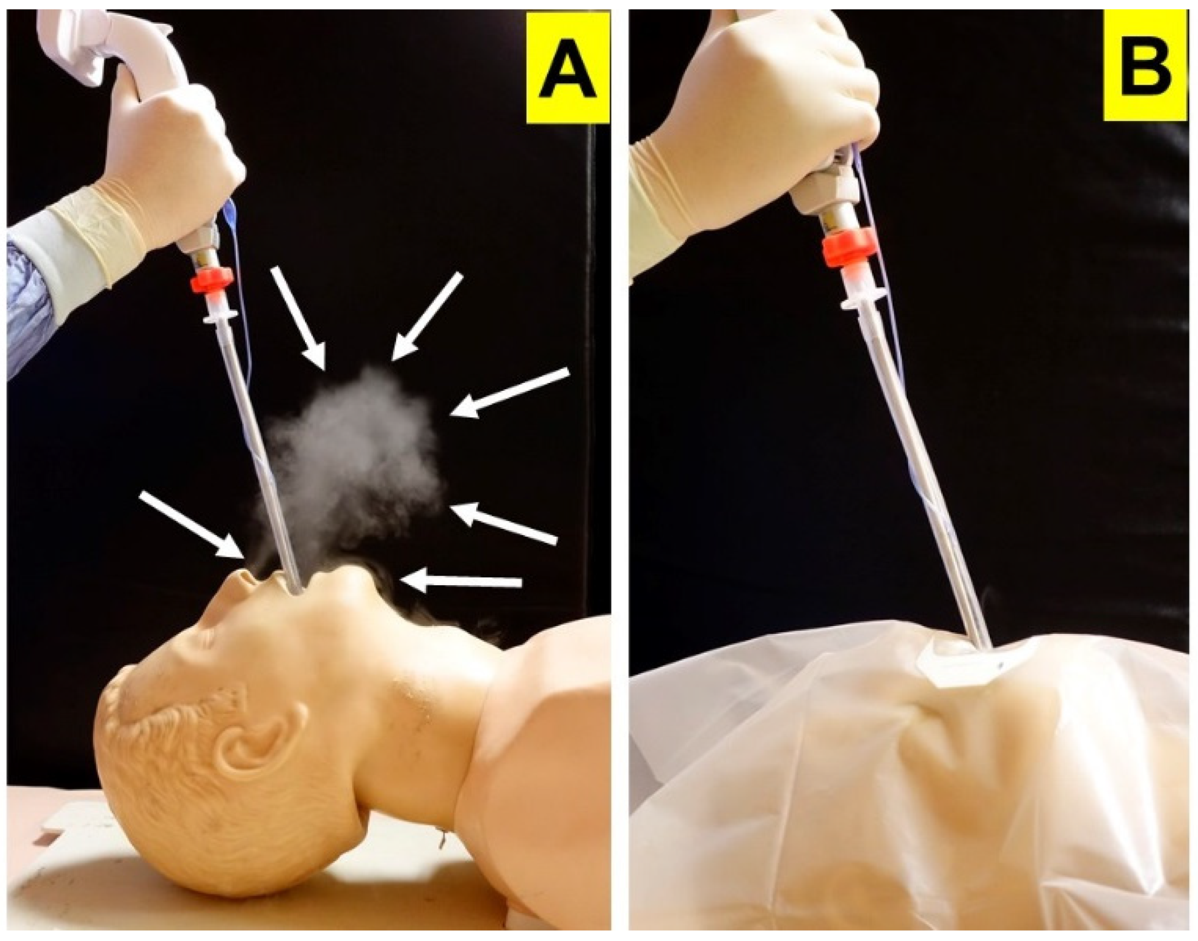 Encyclopedia 01 00081 g010