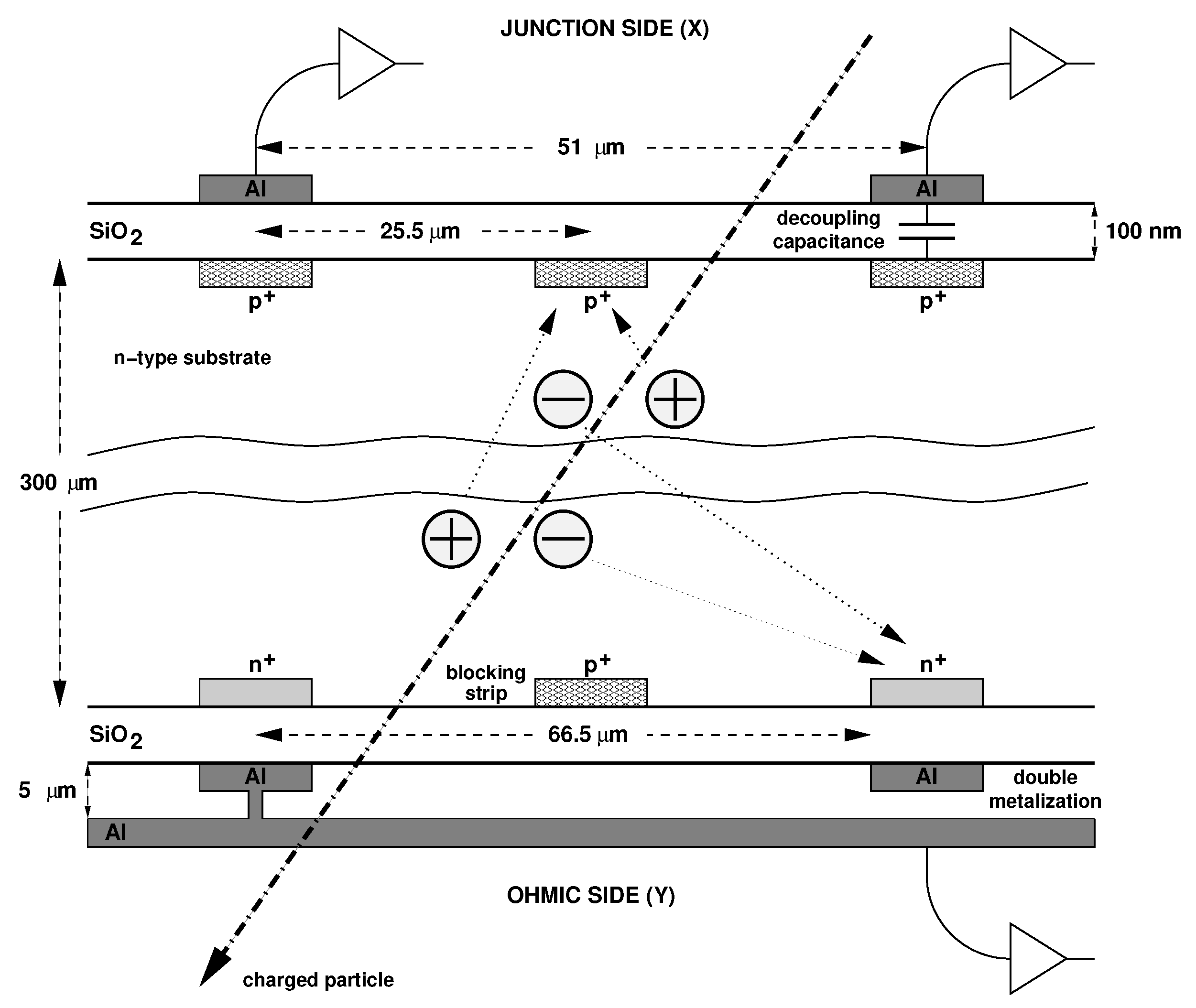 Encyclopedia 01 00082 g001