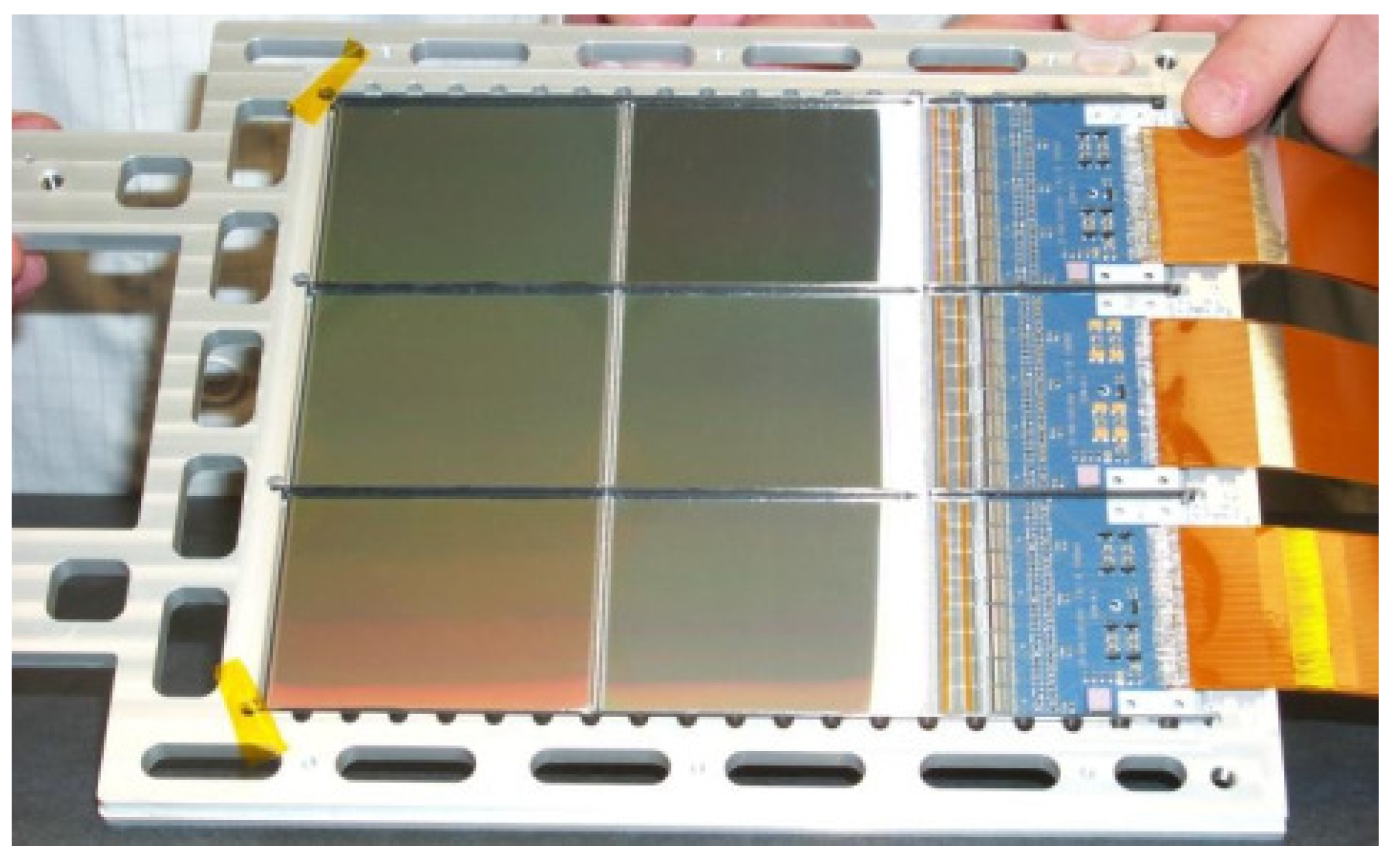 Encyclopedia 01 00082 g002