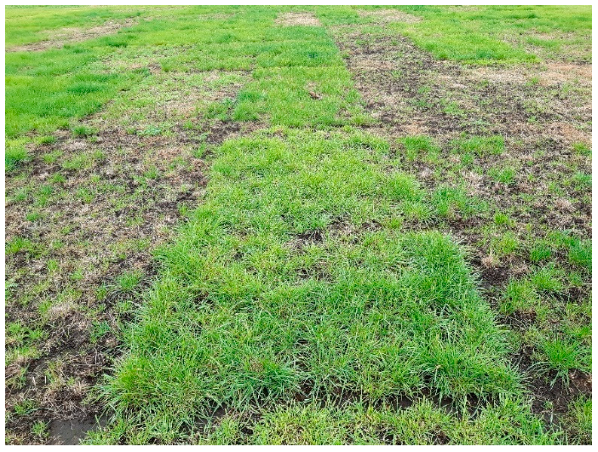 Encyclopedia 01 00083 g006 Encyclopedia 01 00083 g006