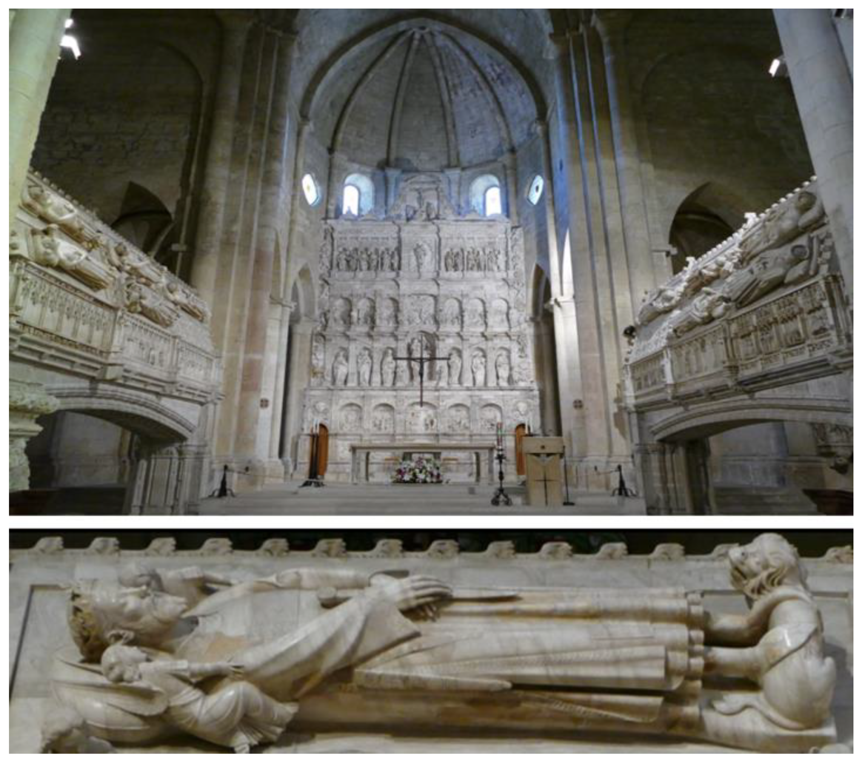 Encyclopedia 01 00086 g006