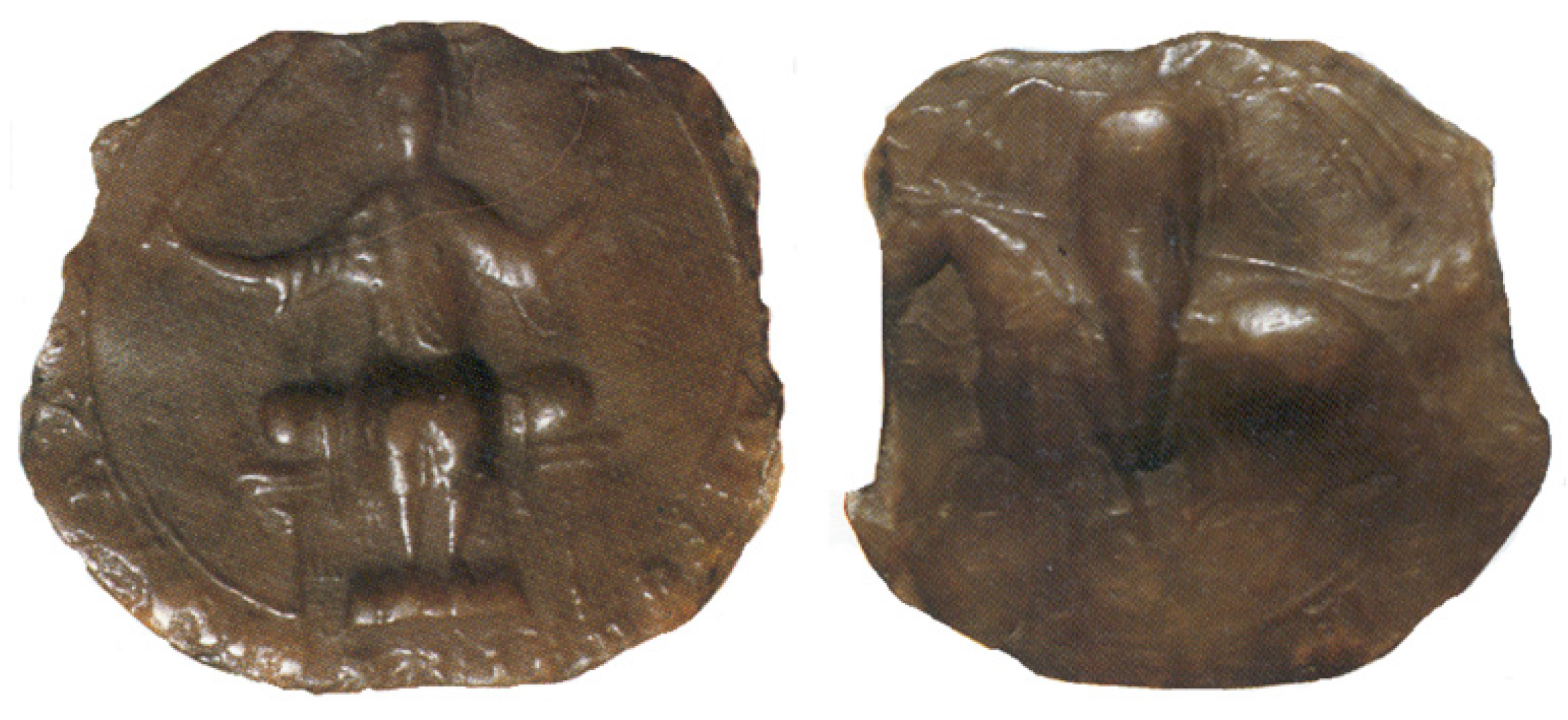 Encyclopedia 01 00087 g002 550