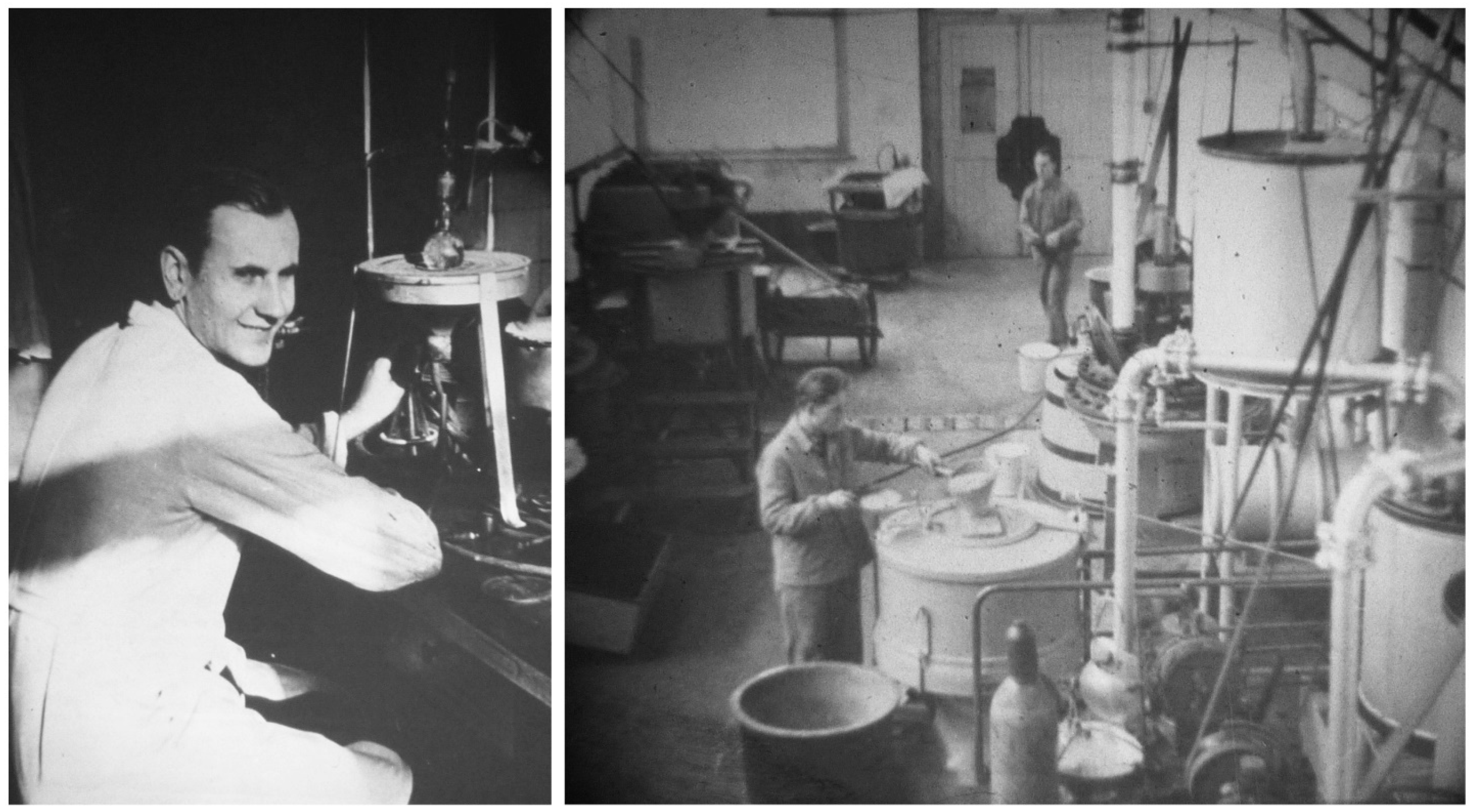 Encyclopedia 01 00096 g002 Encyclopedia 01 00096 g002