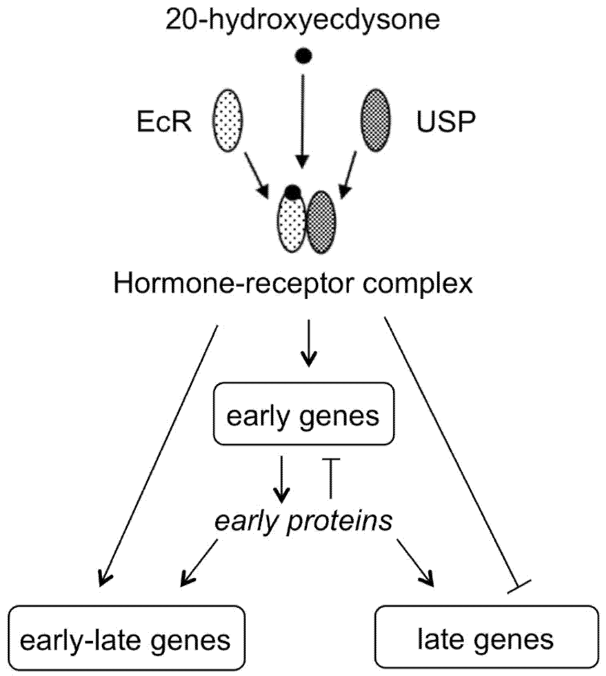 Encyclopedia 01 00096 g005 Encyclopedia 01 00096 g005