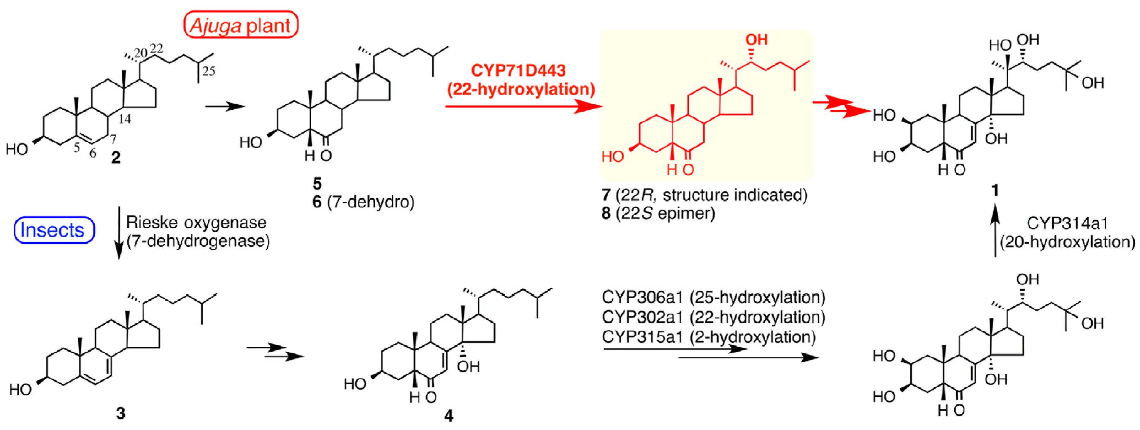 Encyclopedia 01 00096 g007 Encyclopedia 01 00096 g007