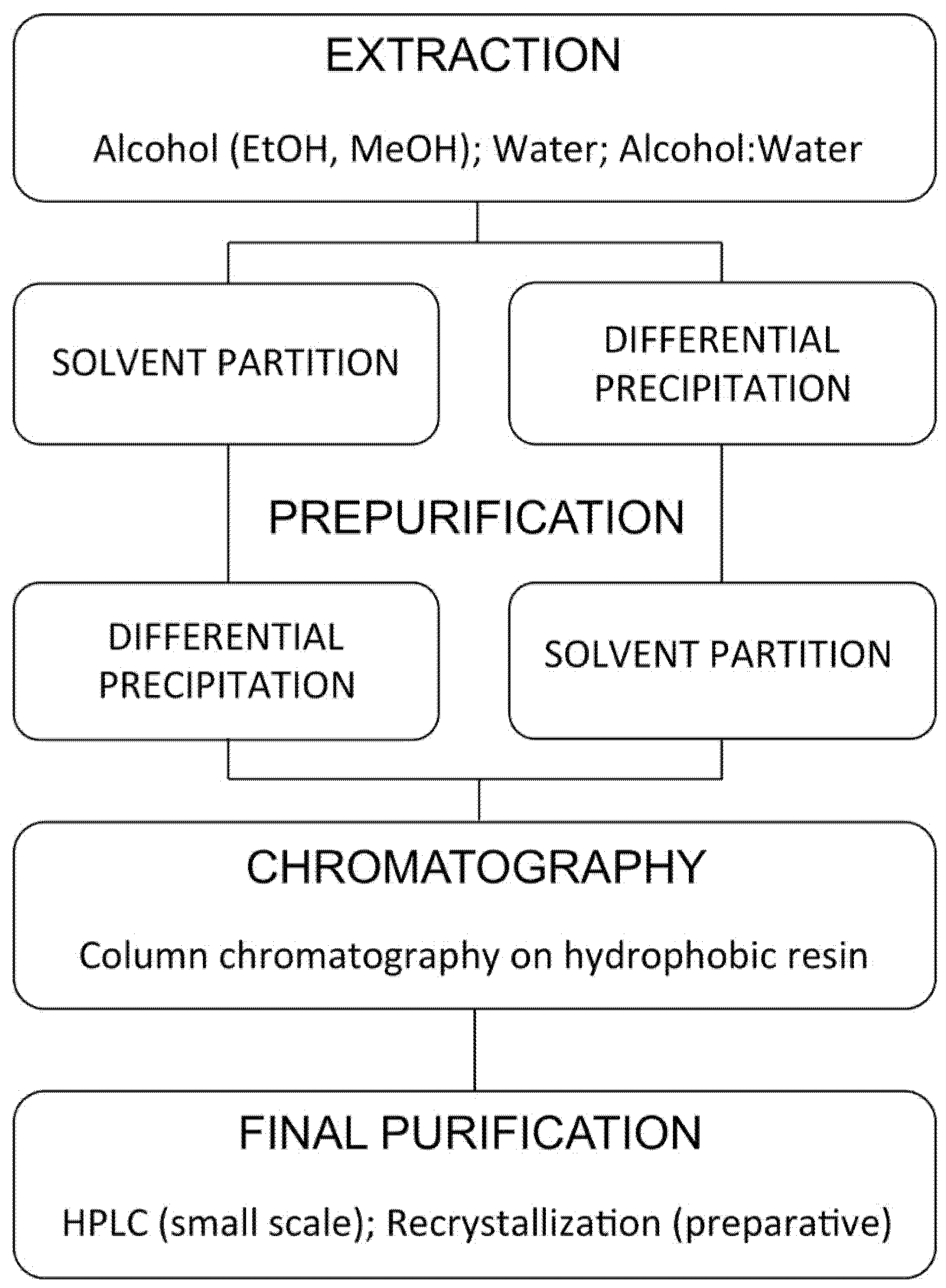 Encyclopedia 01 00096 g010 Encyclopedia 01 00096 g010