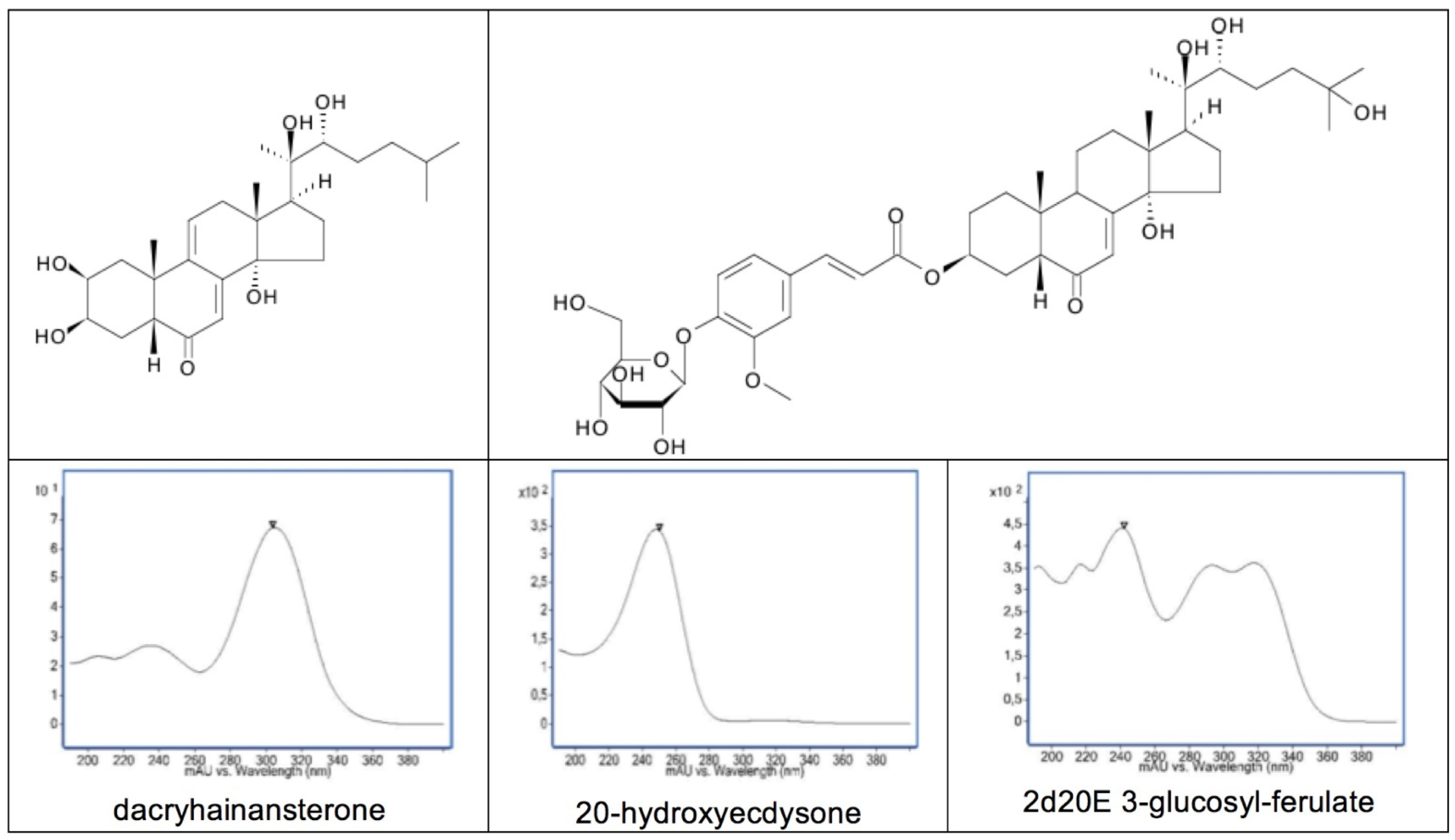 Encyclopedia 01 00096 g011 Encyclopedia 01 00096 g011