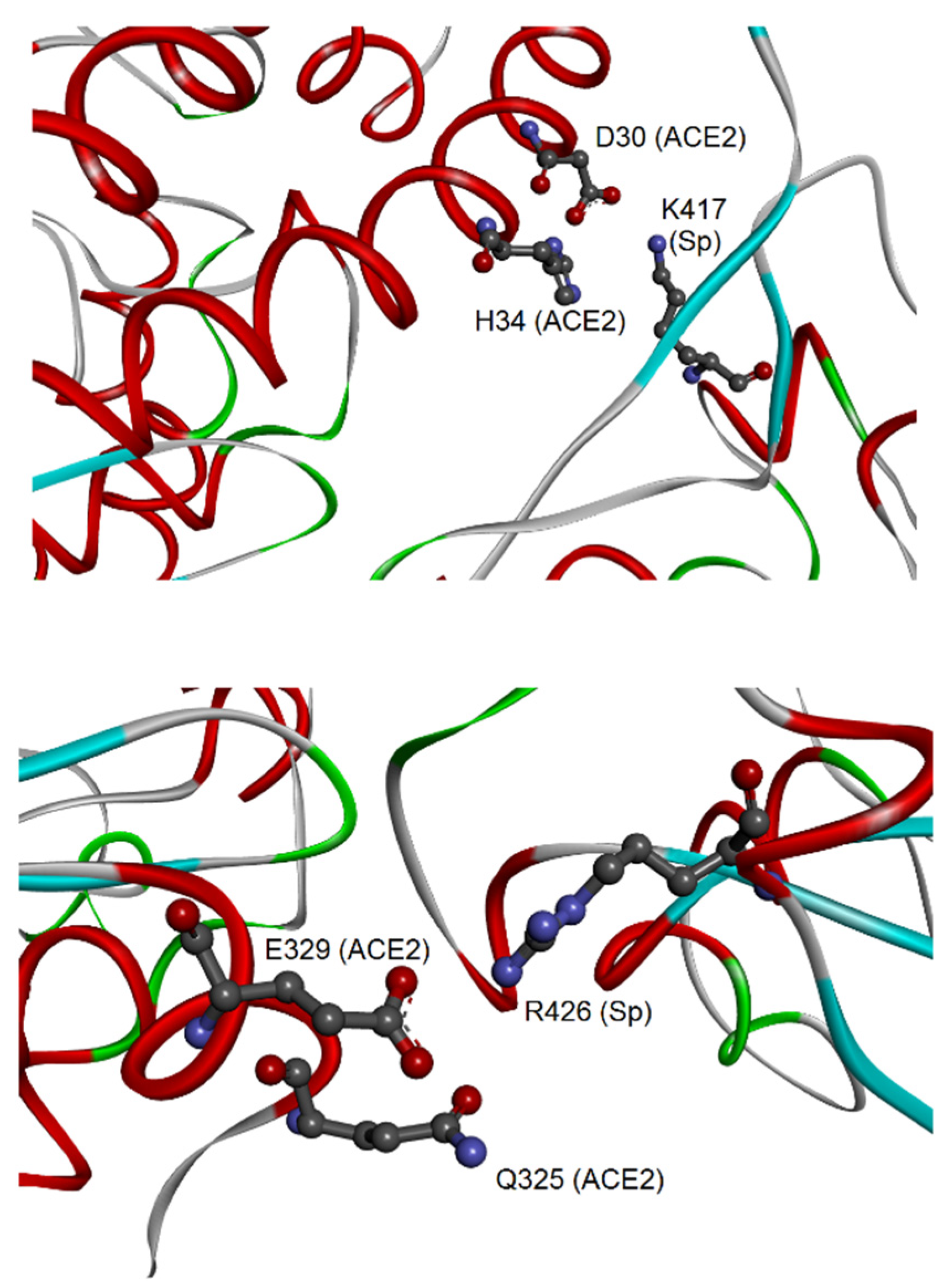 Encyclopedia 02 00007 g003